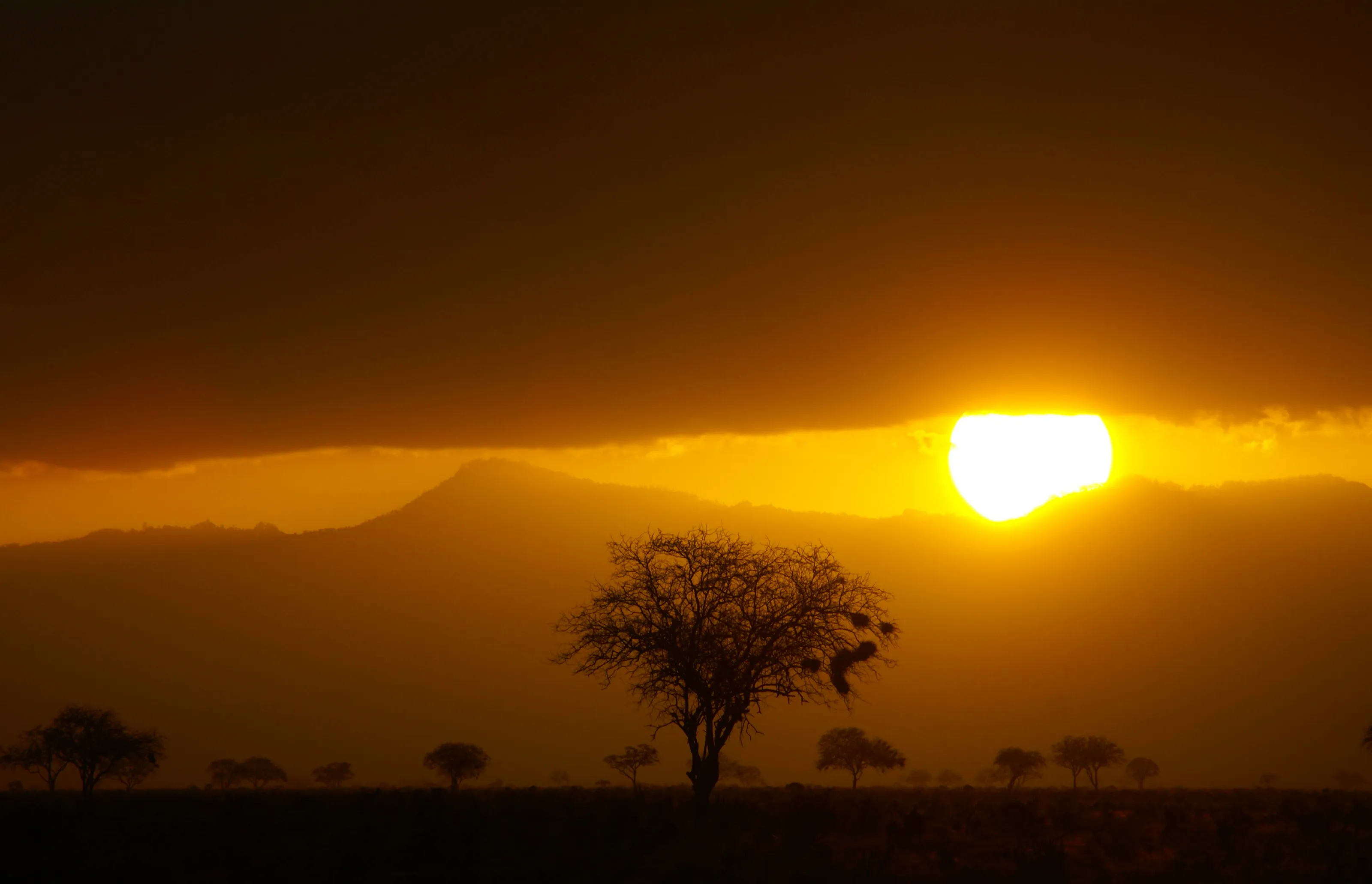 Sunset in Amboseli Kenya