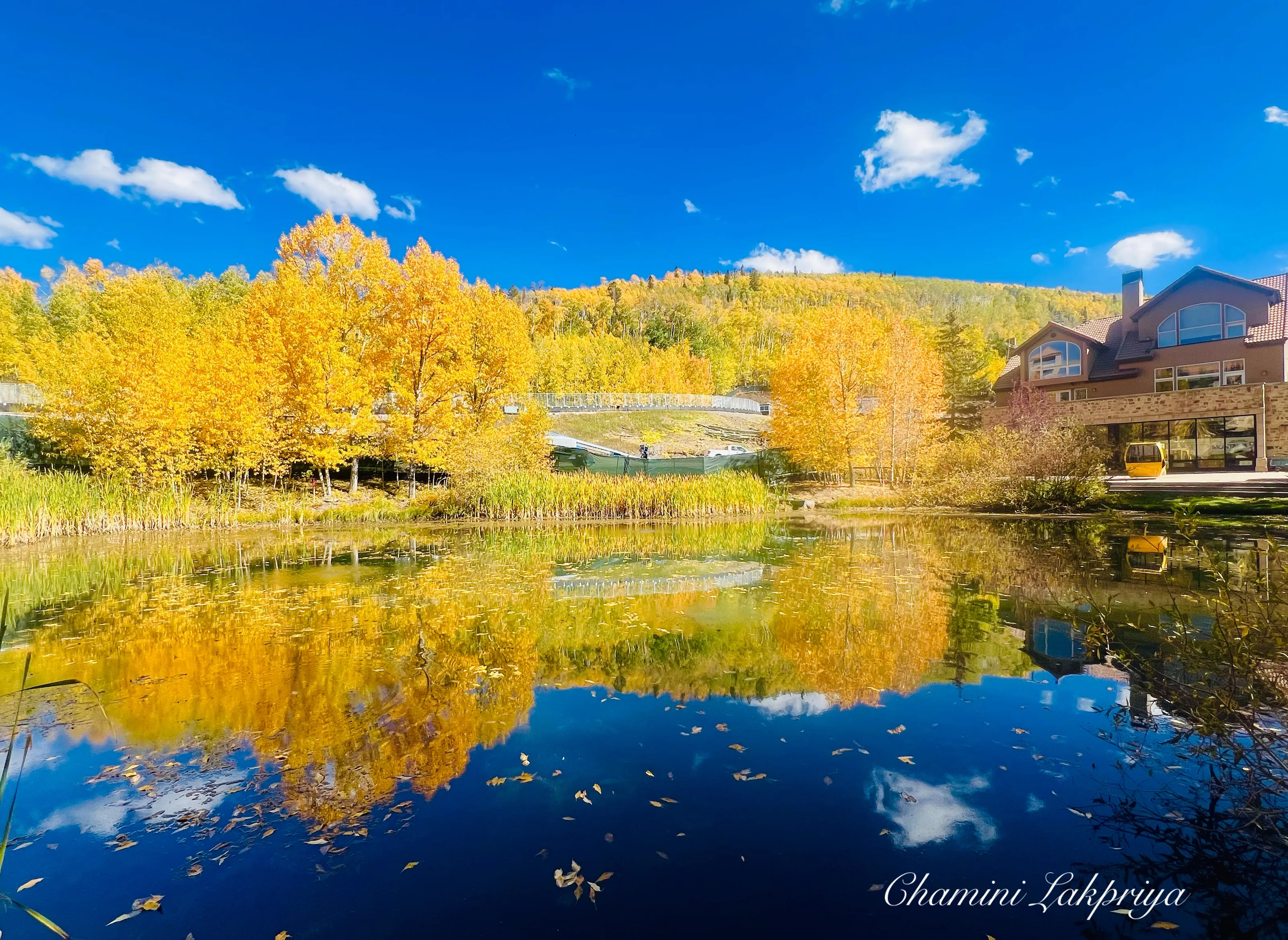 Autumn reflects