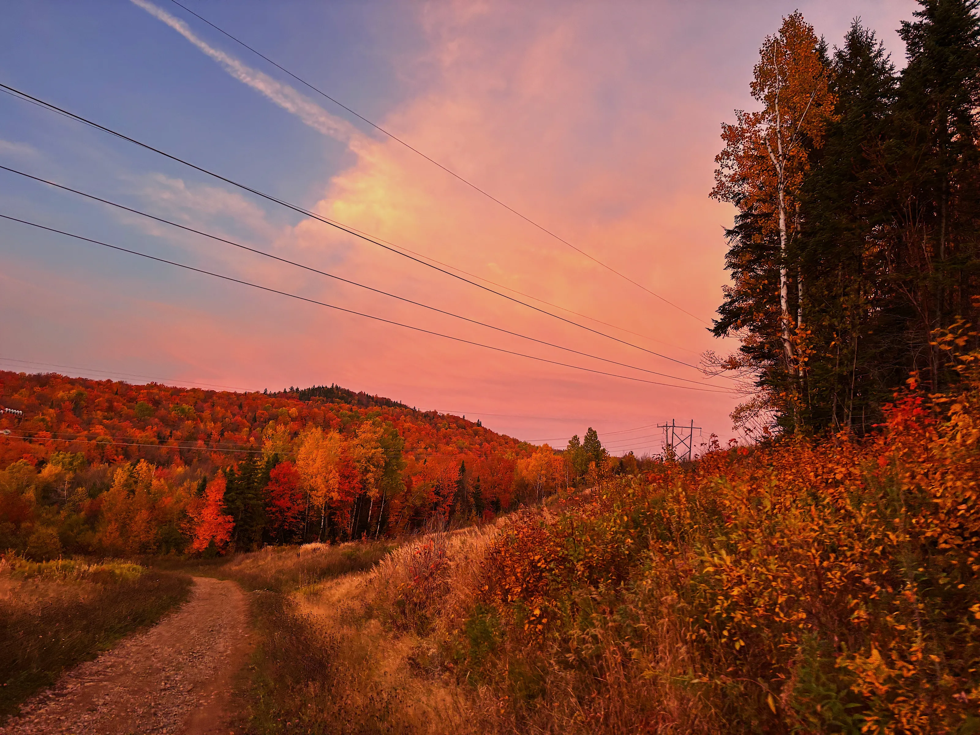 Fall