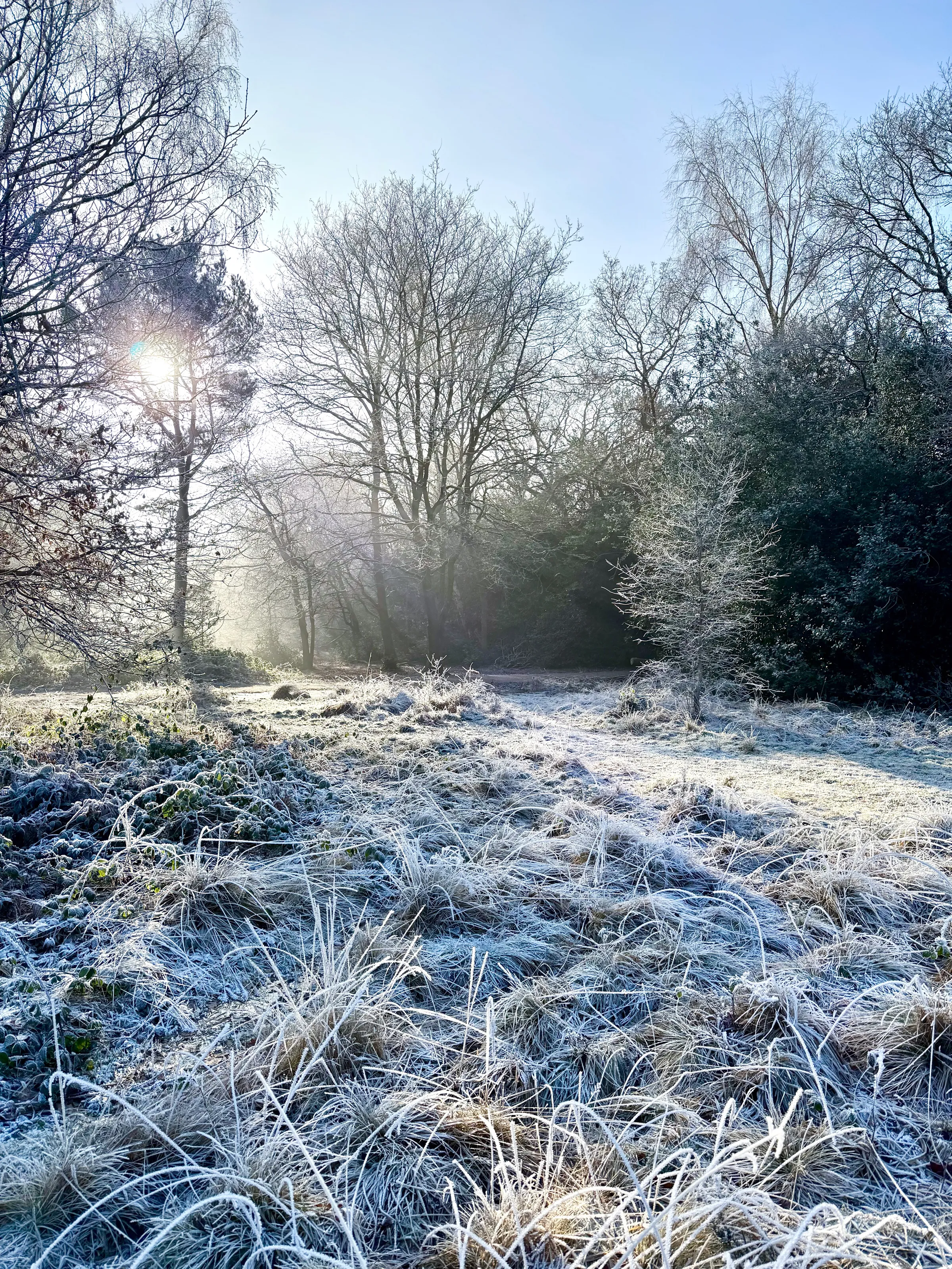 Park Frost