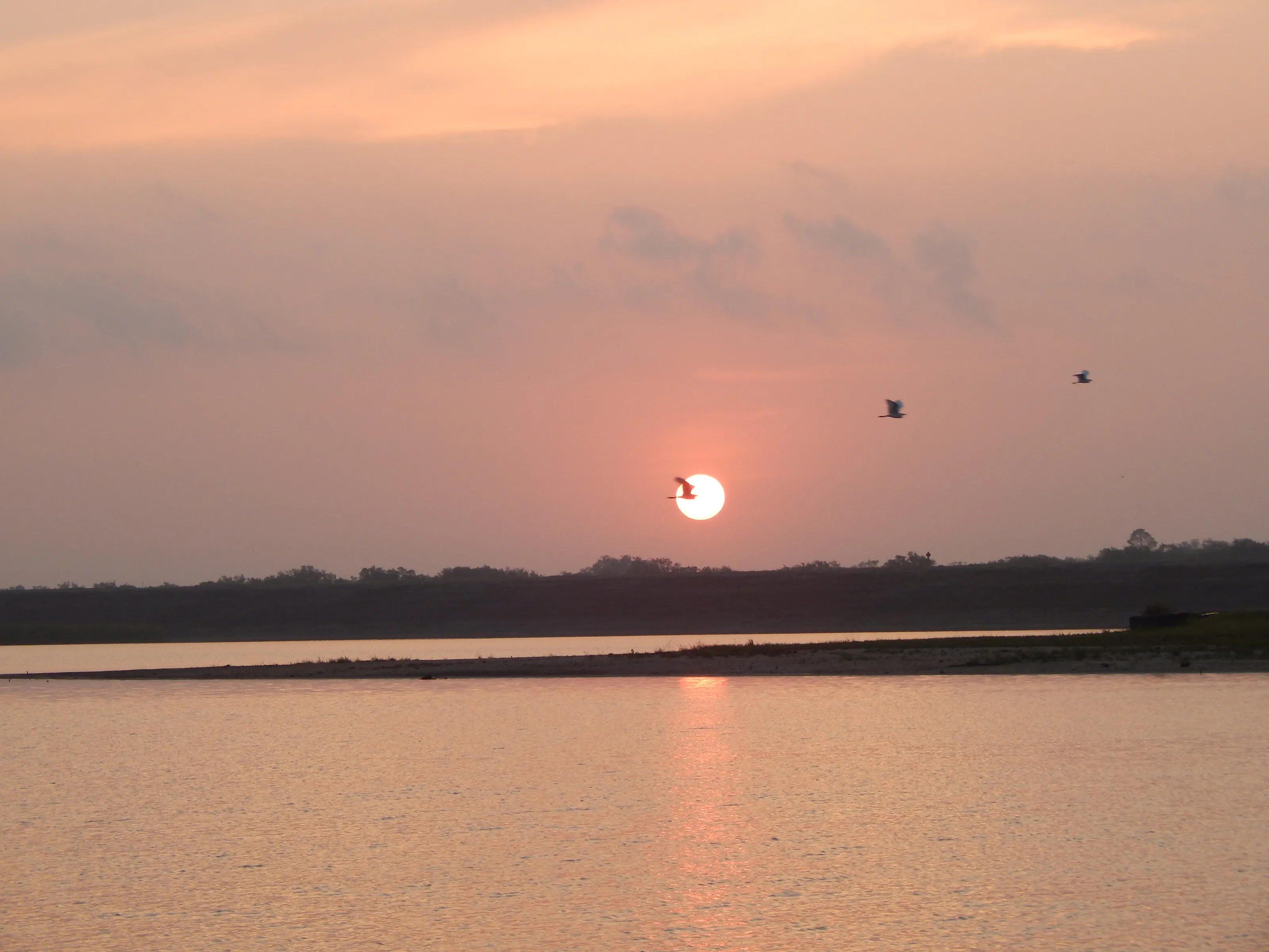 South Texas Summer Sunset