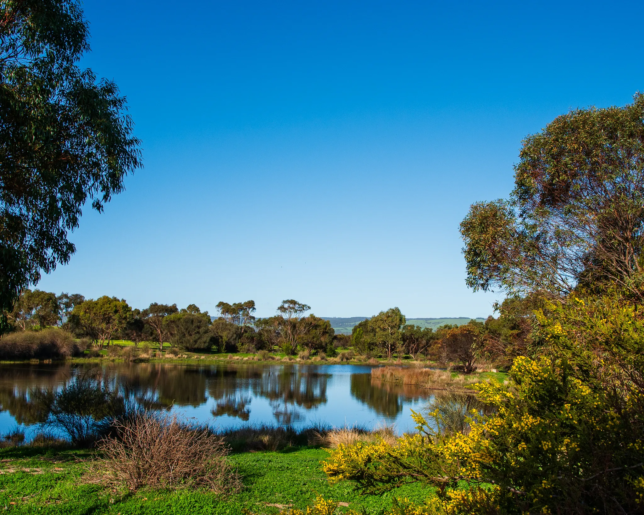 Aldinga beach wetlands
