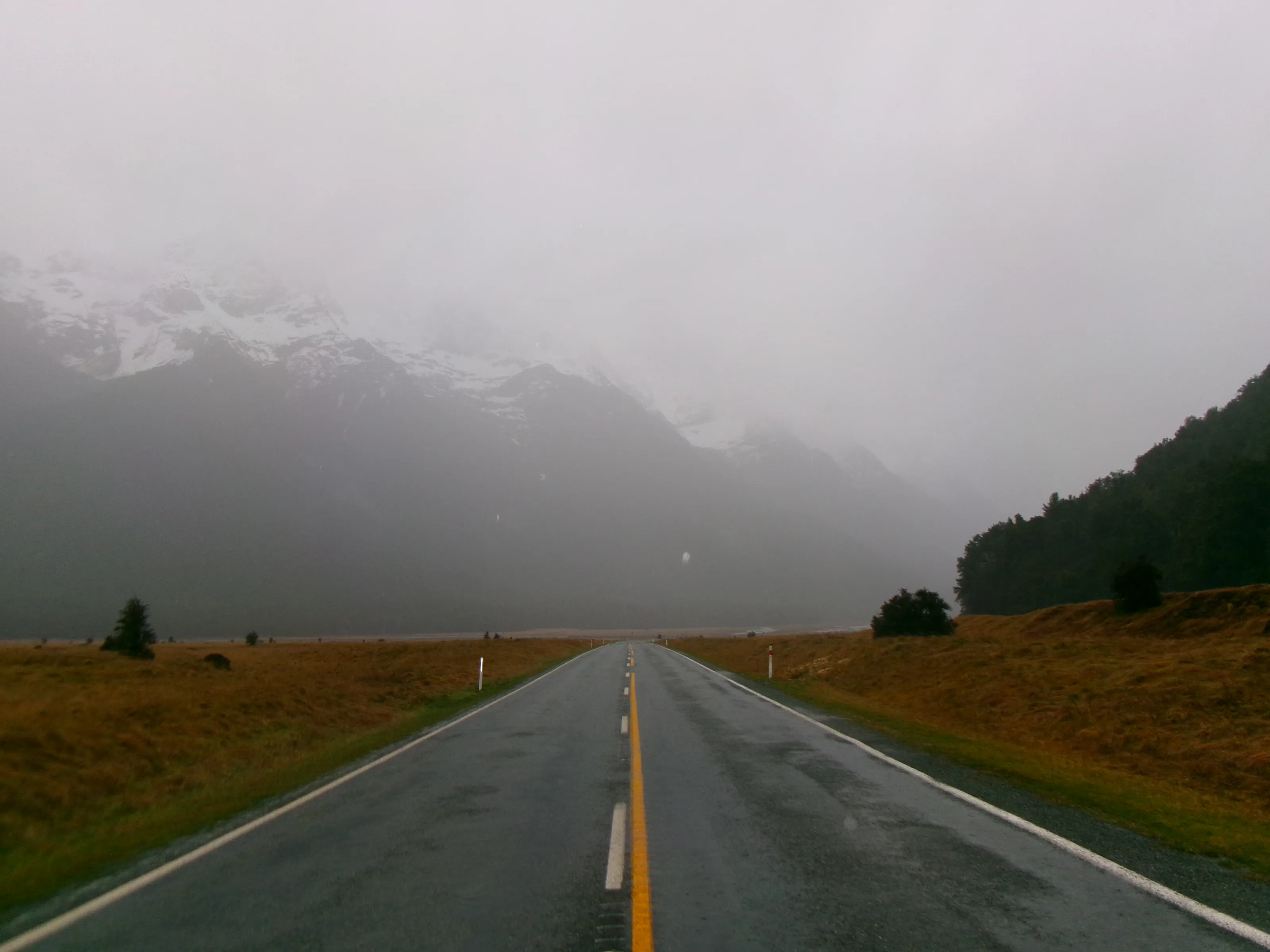 Fiordland