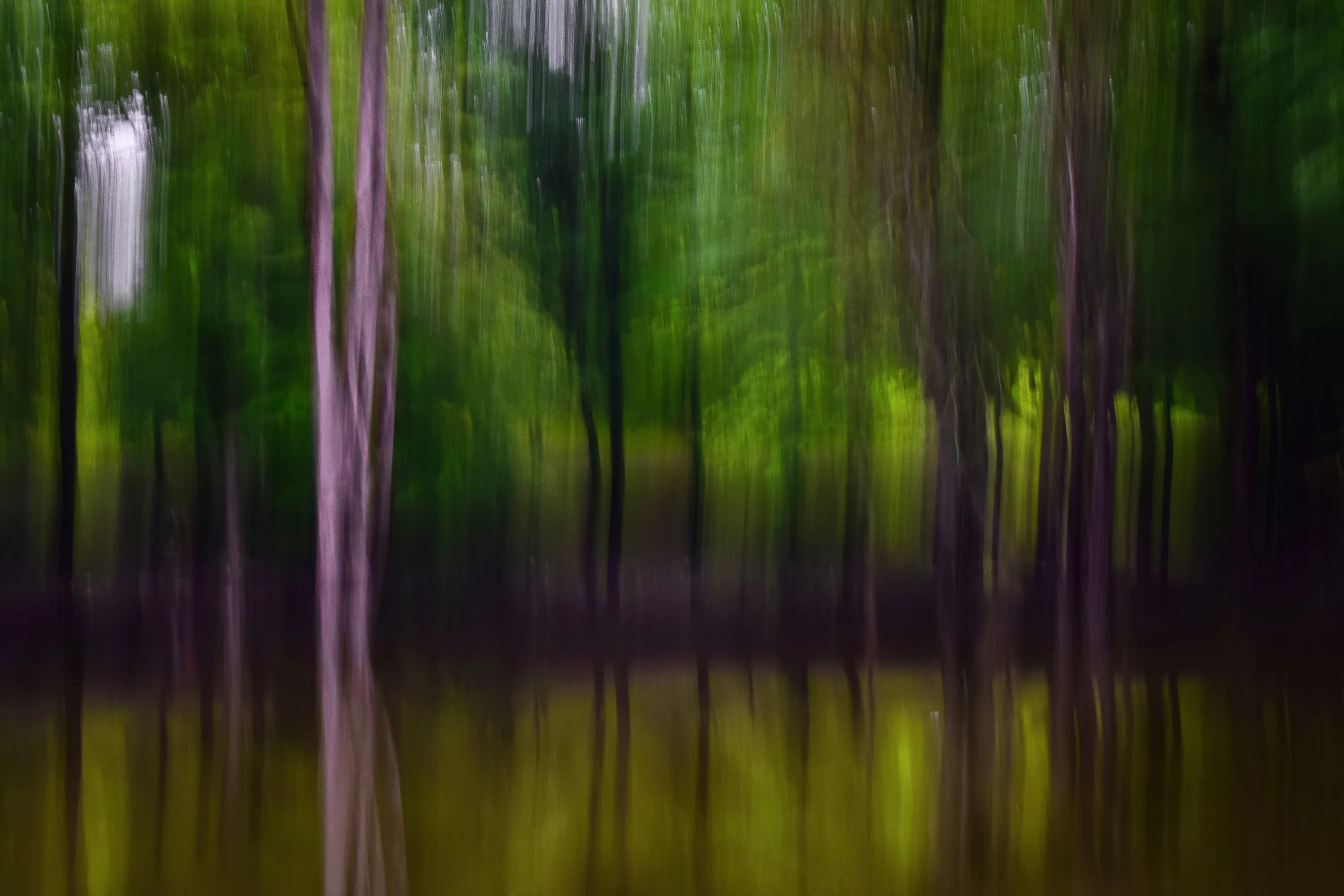 Painting with photos