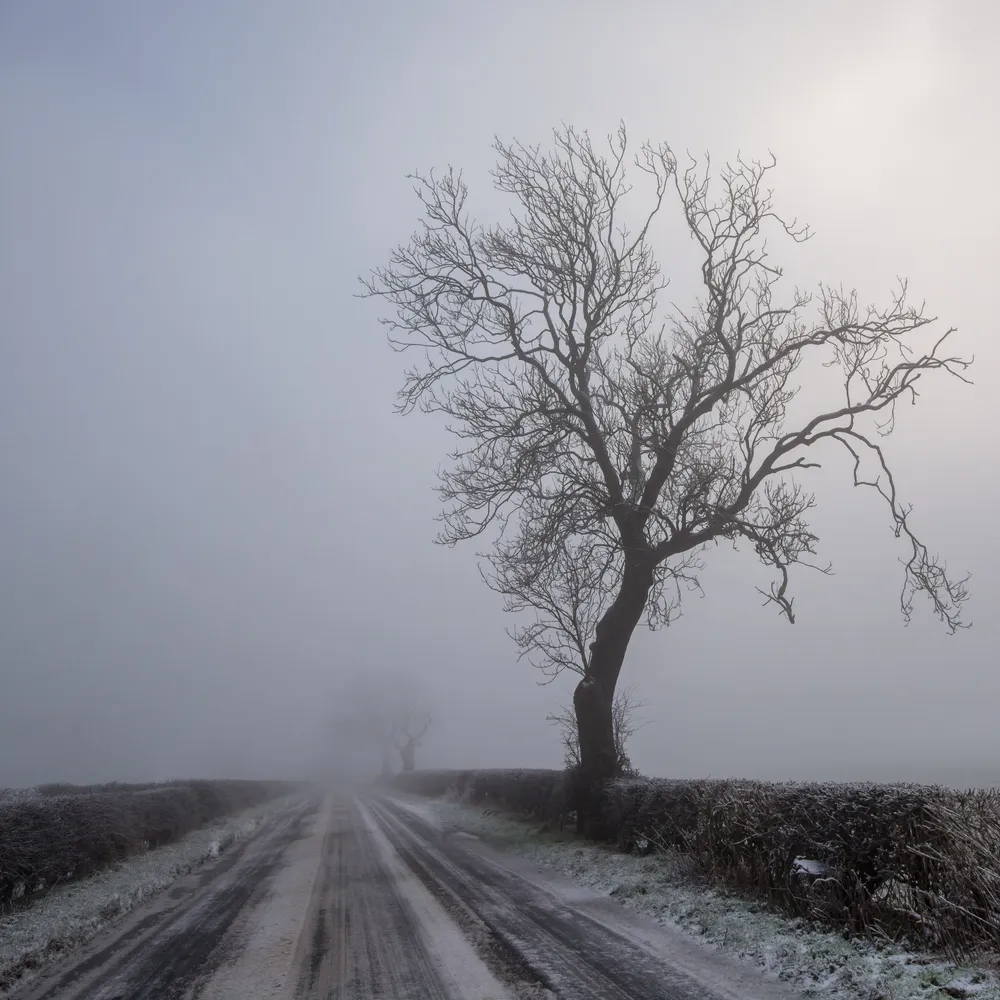 Winter