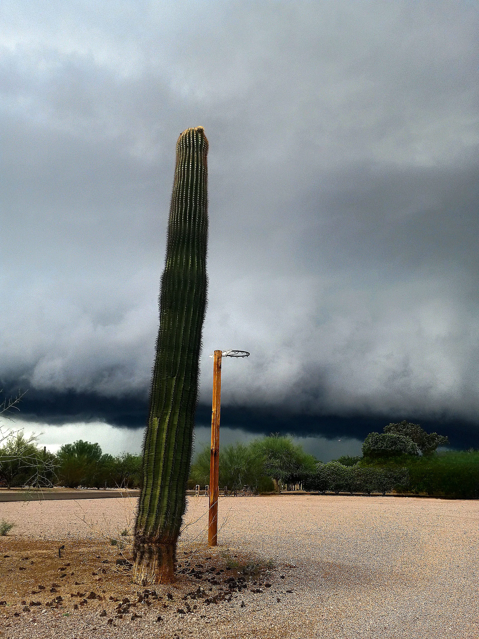 Stormy Arizona