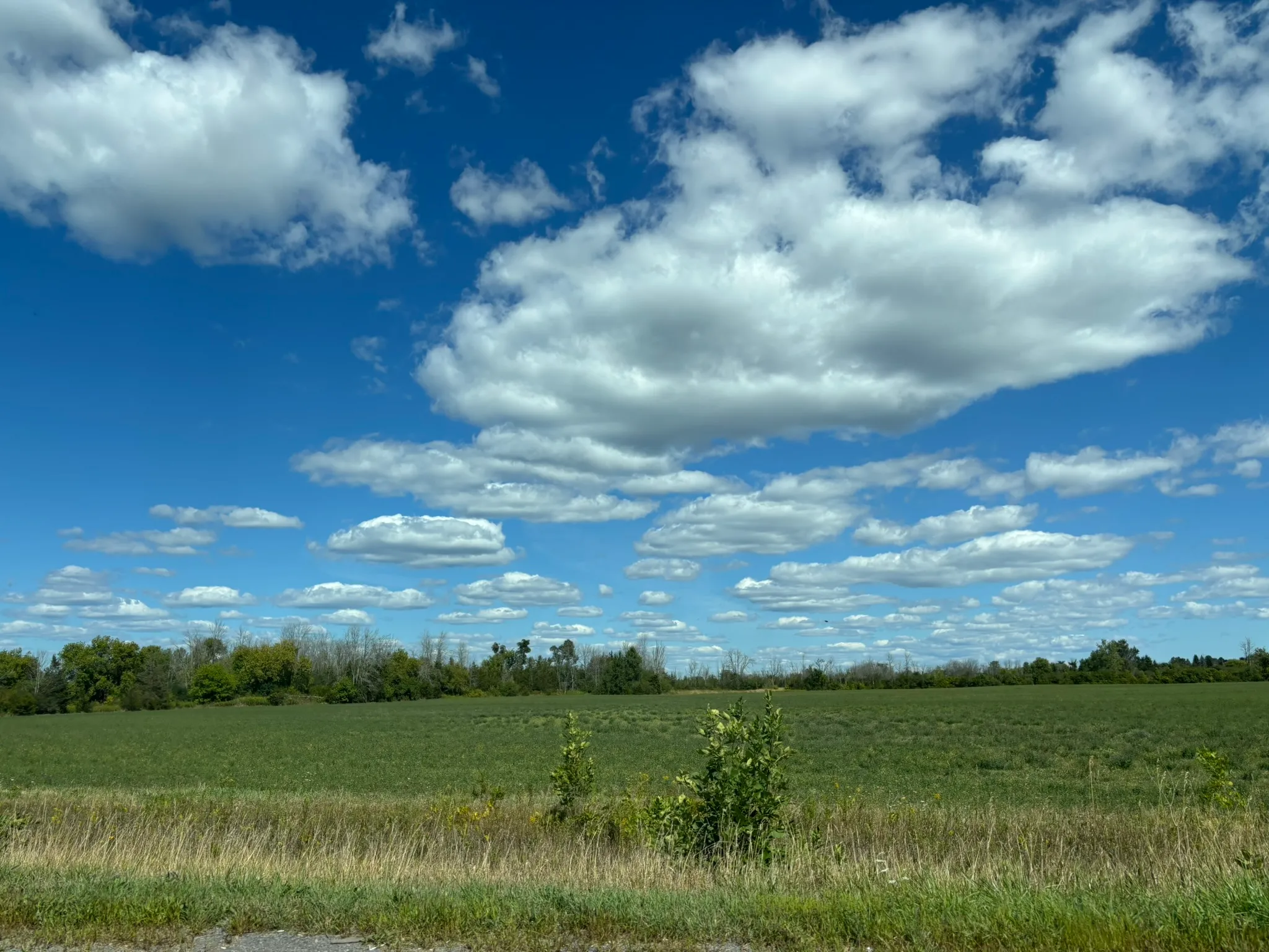 Peaceful Country Life
