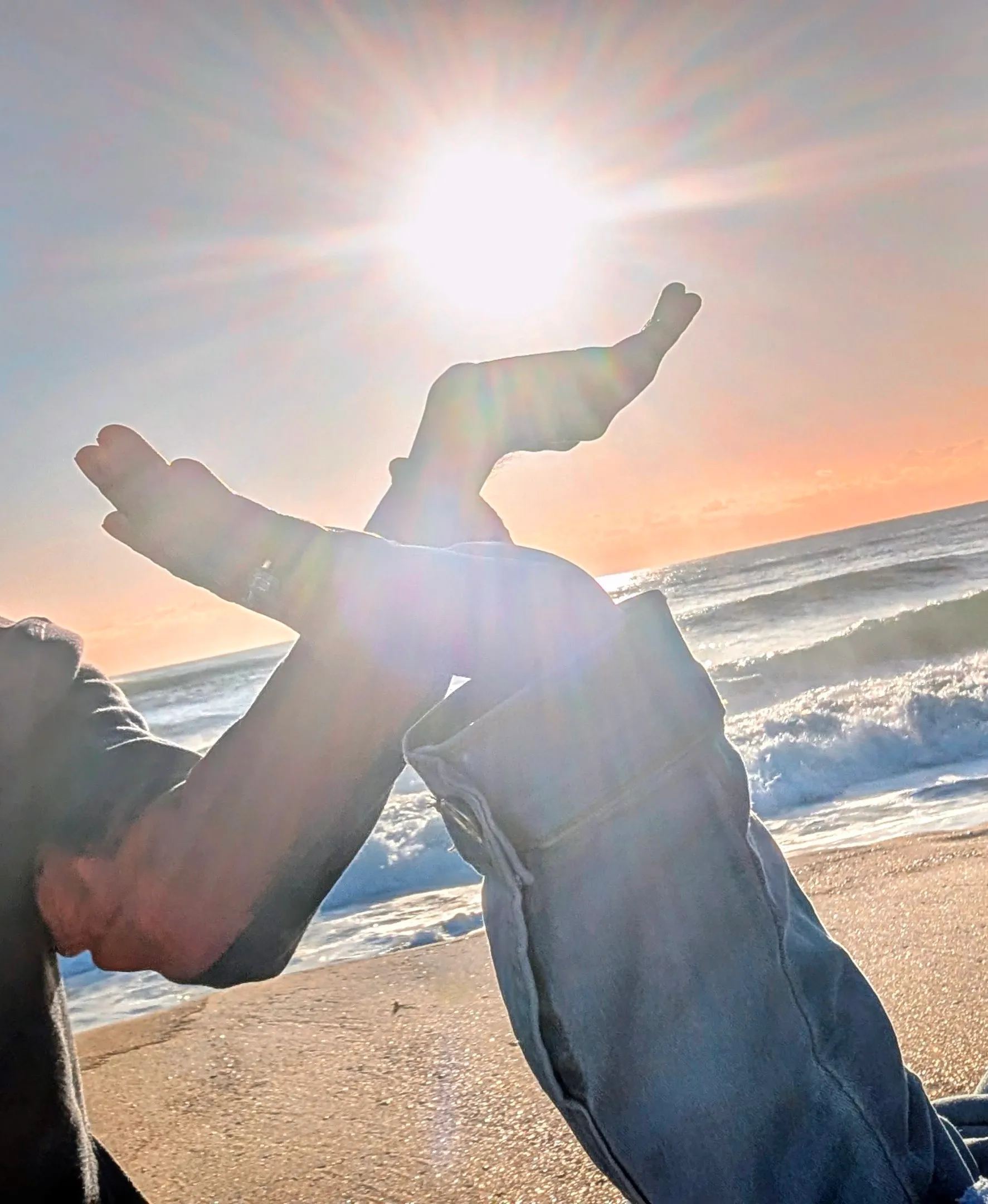 Banner image