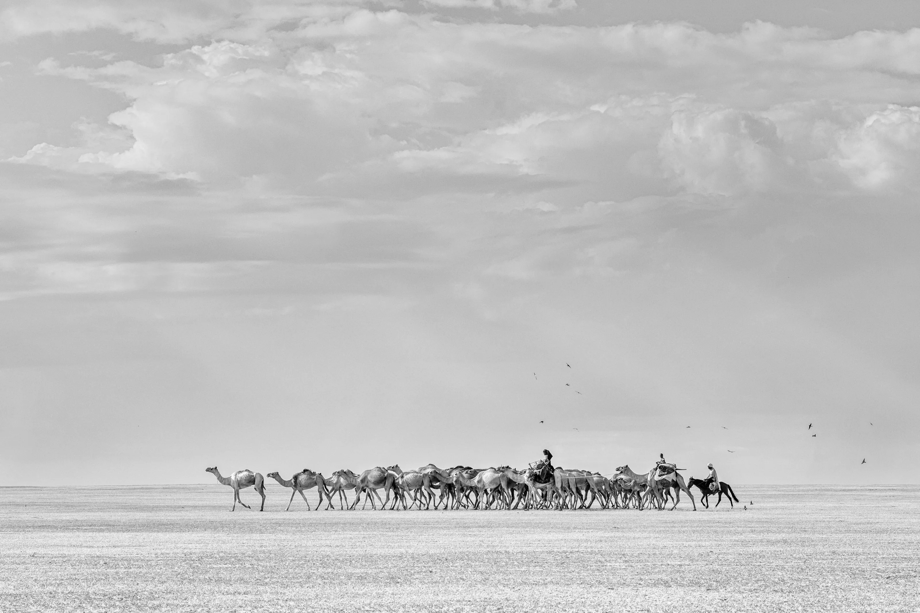 Traditions in Transit