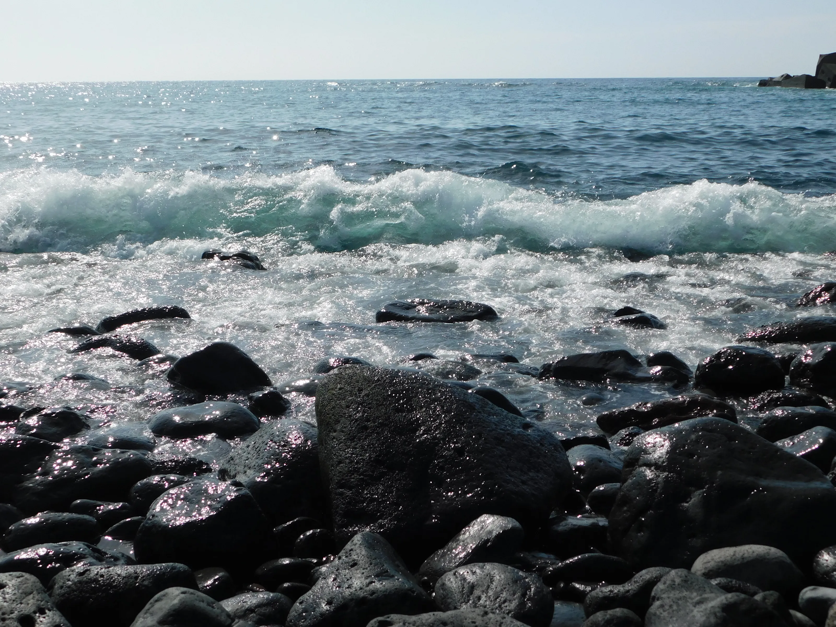 Sea wave
