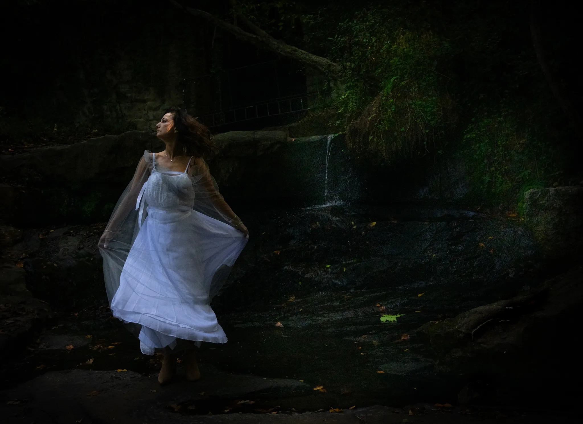 Escape to the forest