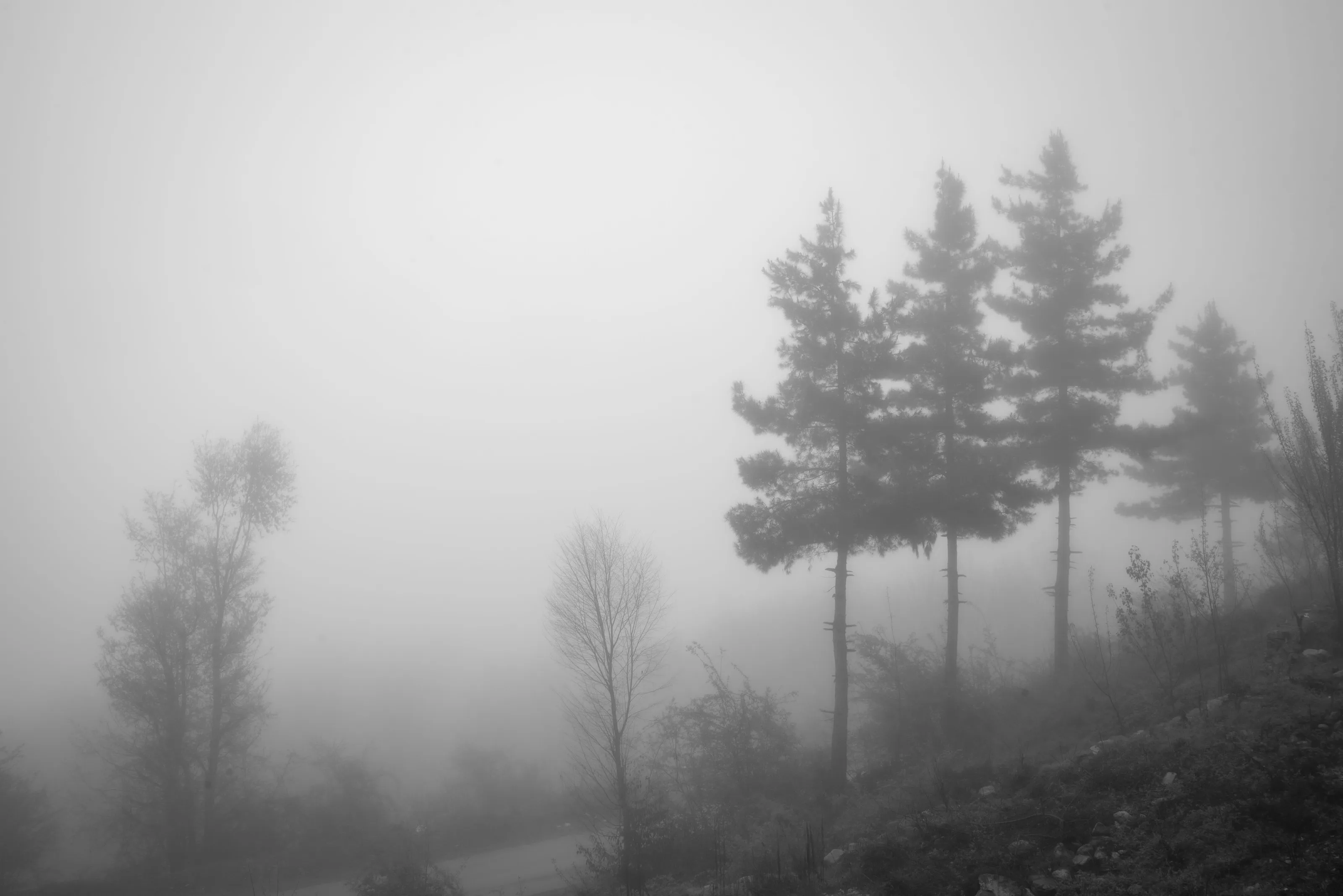 The silence