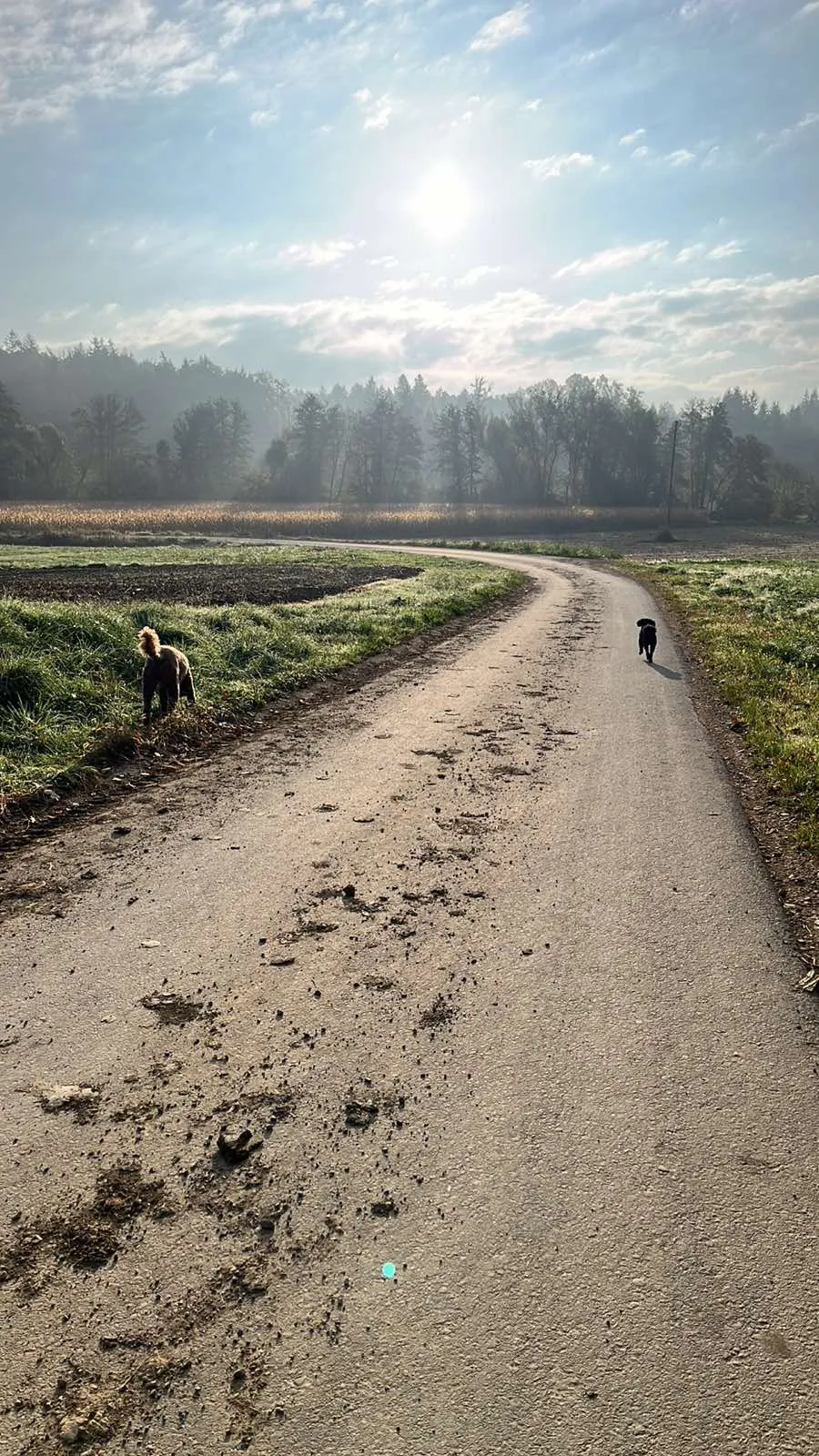 Autumn Morning lights