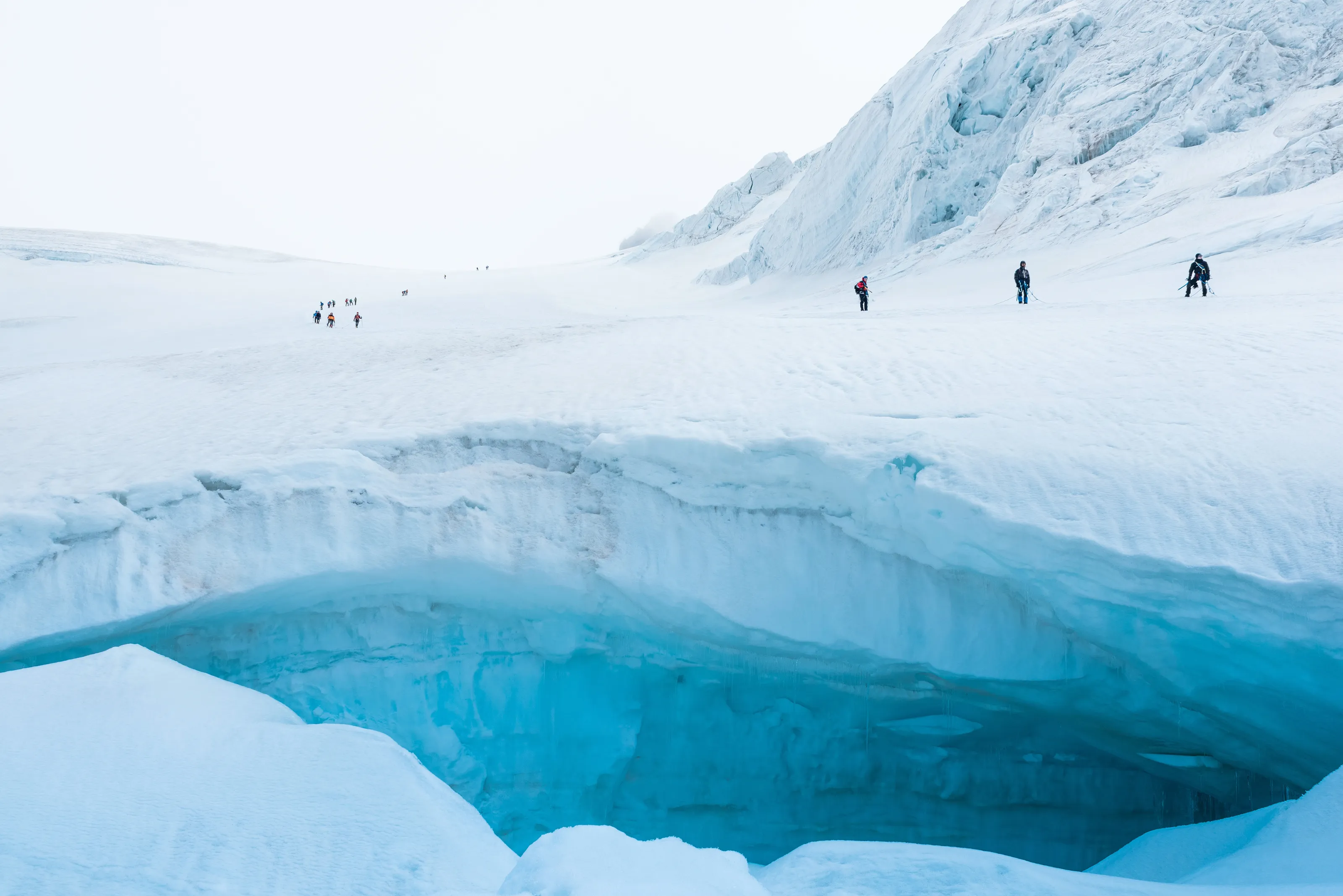 Polar