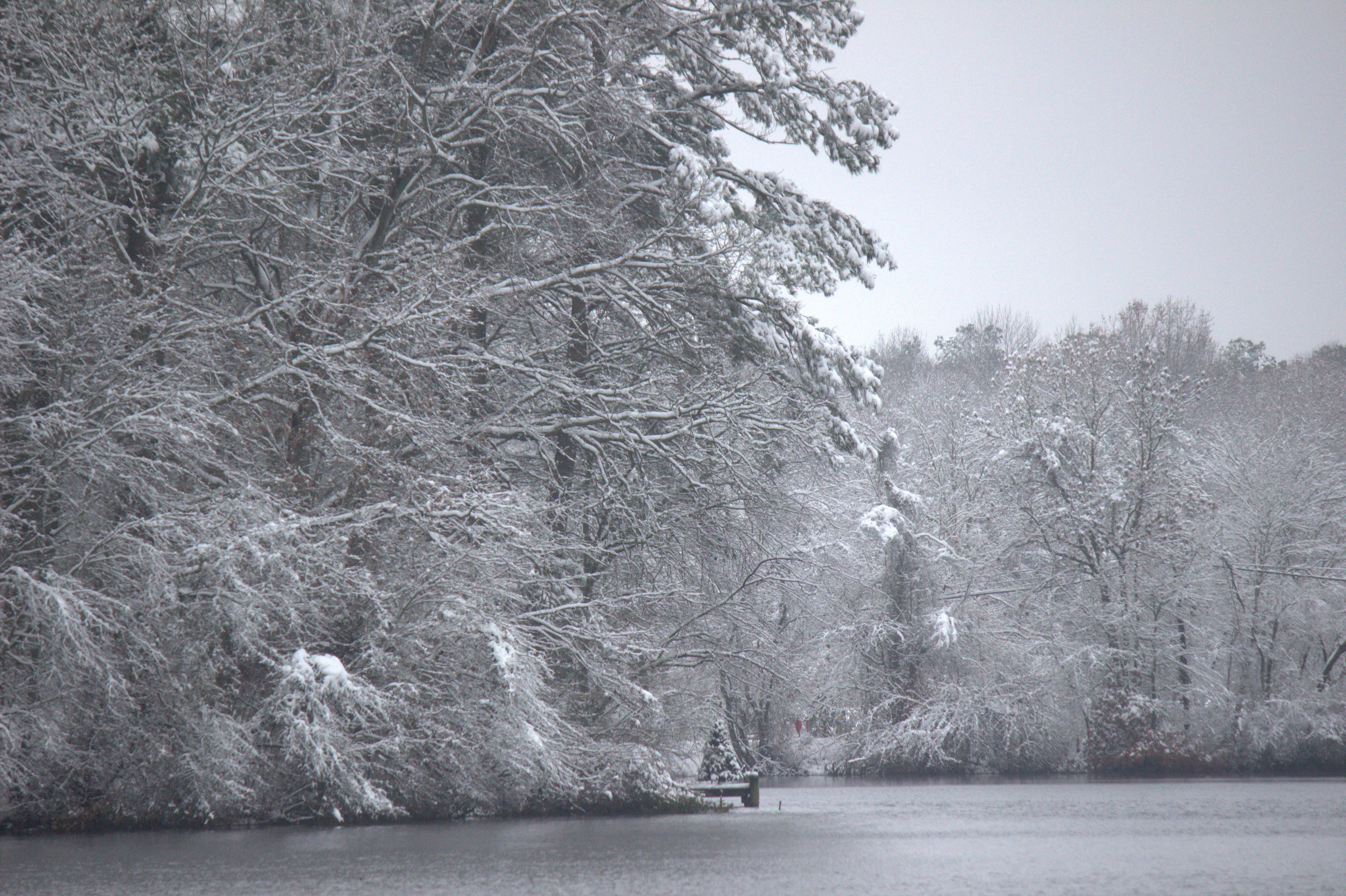 Snowy day on the Eastern Shore
