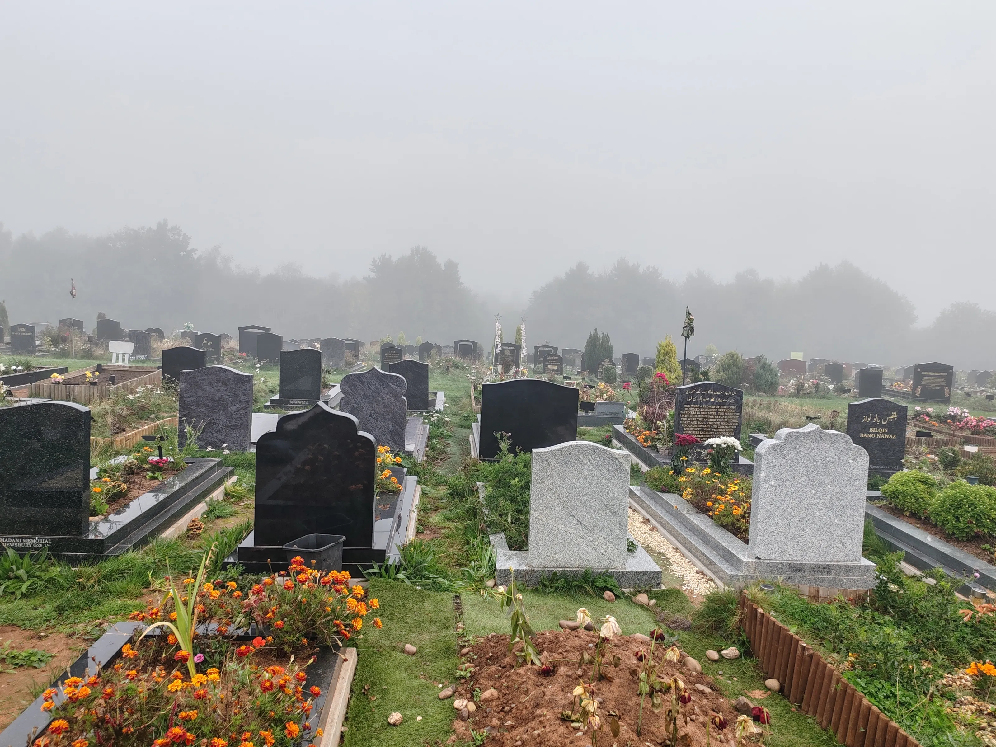 Misty graves