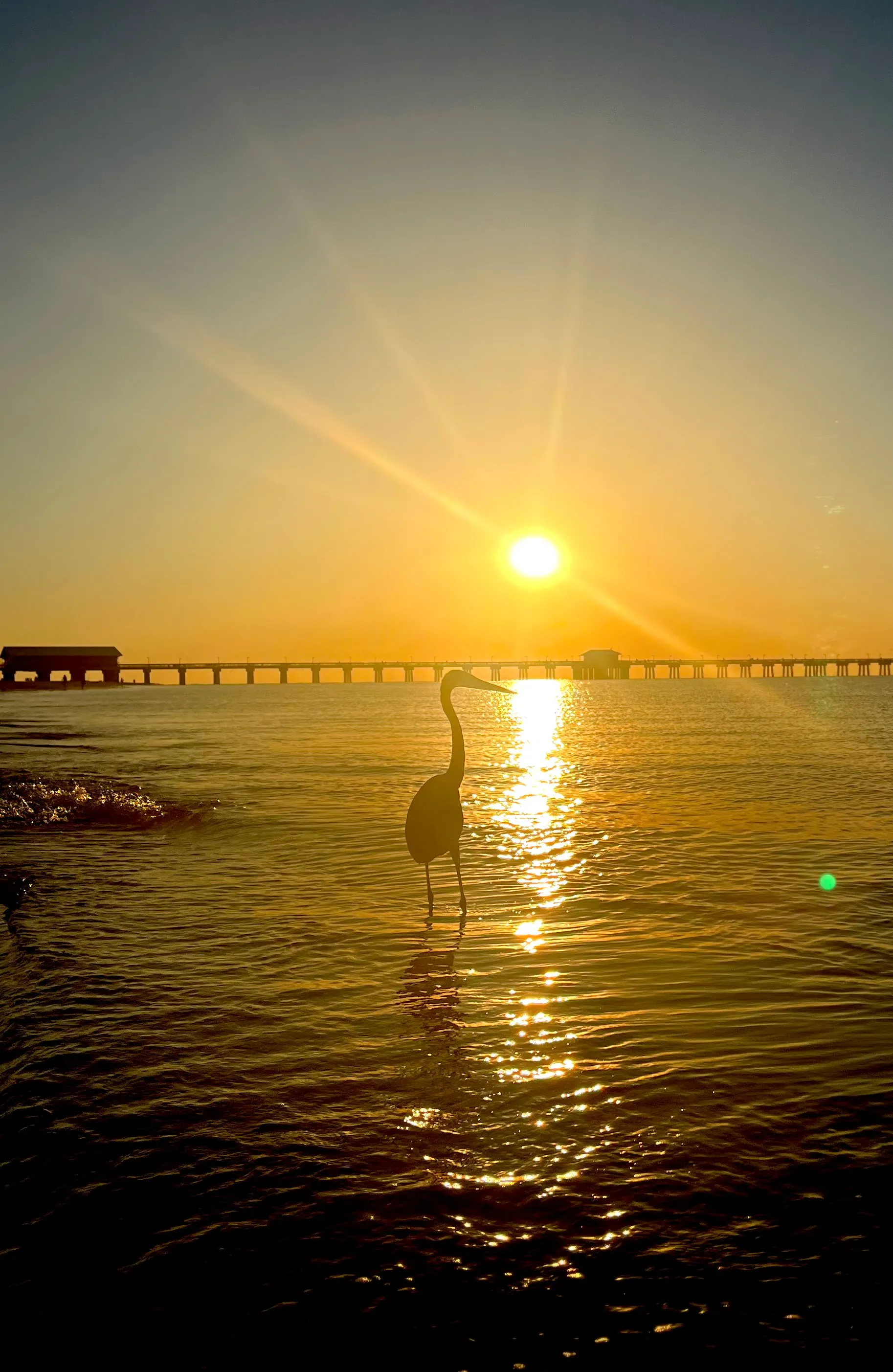 Gulf shores morning