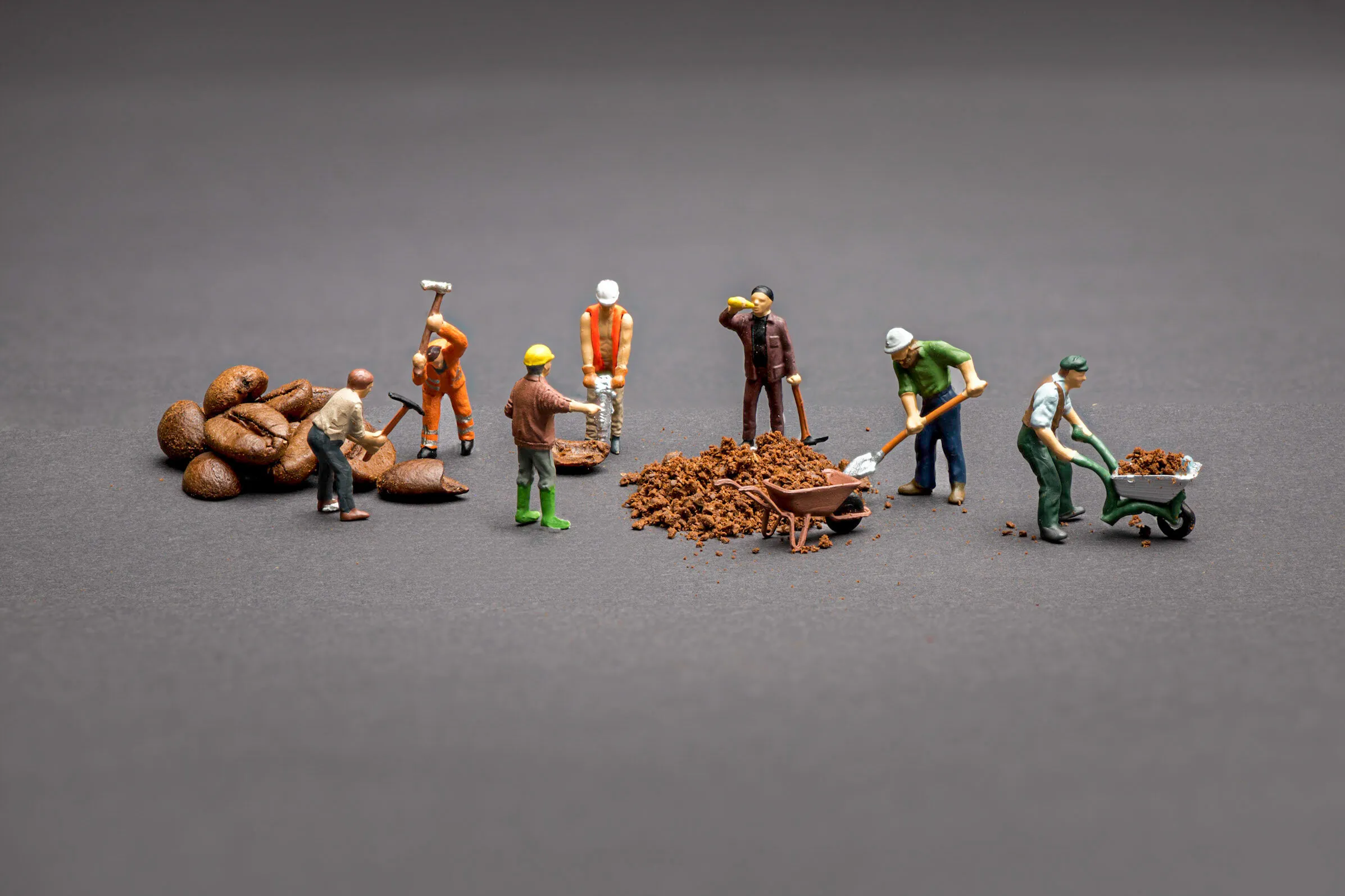 Anything in Miniature