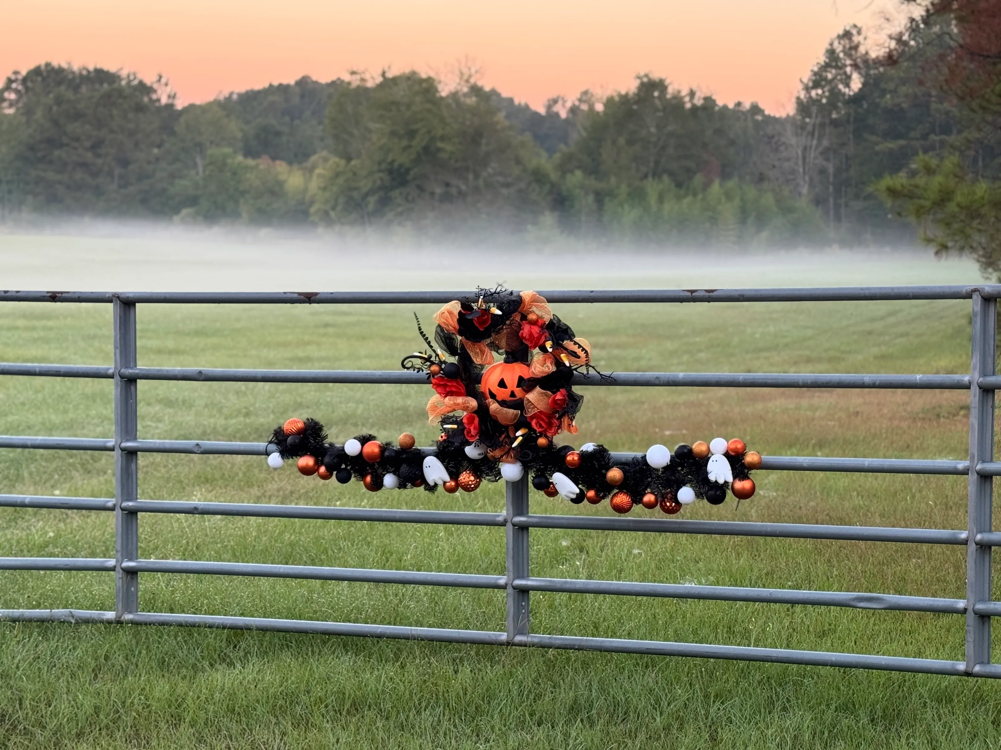 Foggy fence