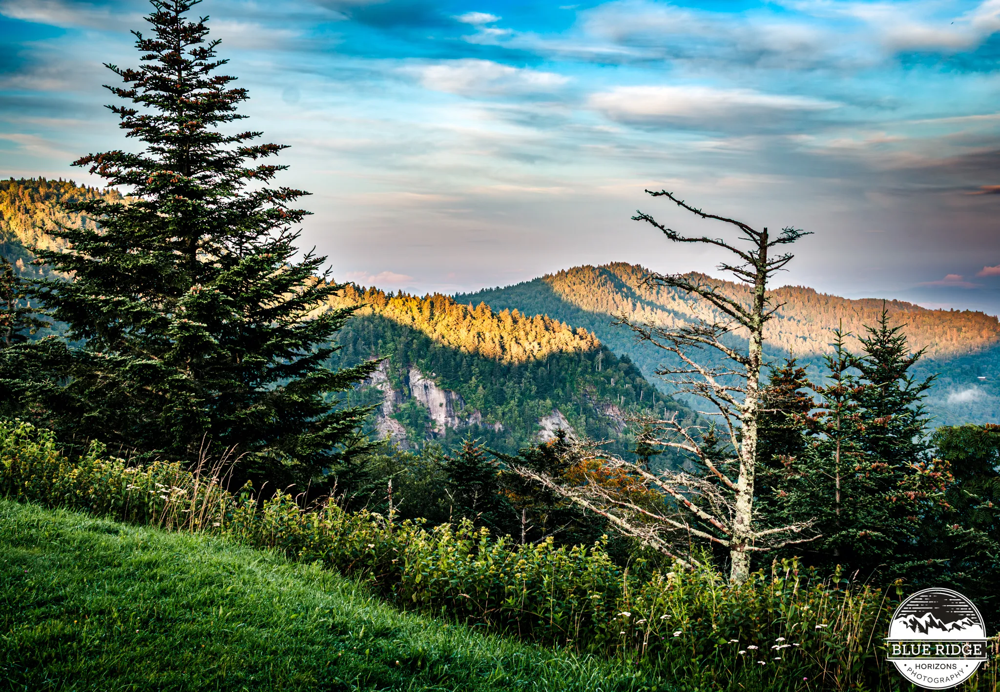 Morning on the Blue Ridge Parkway