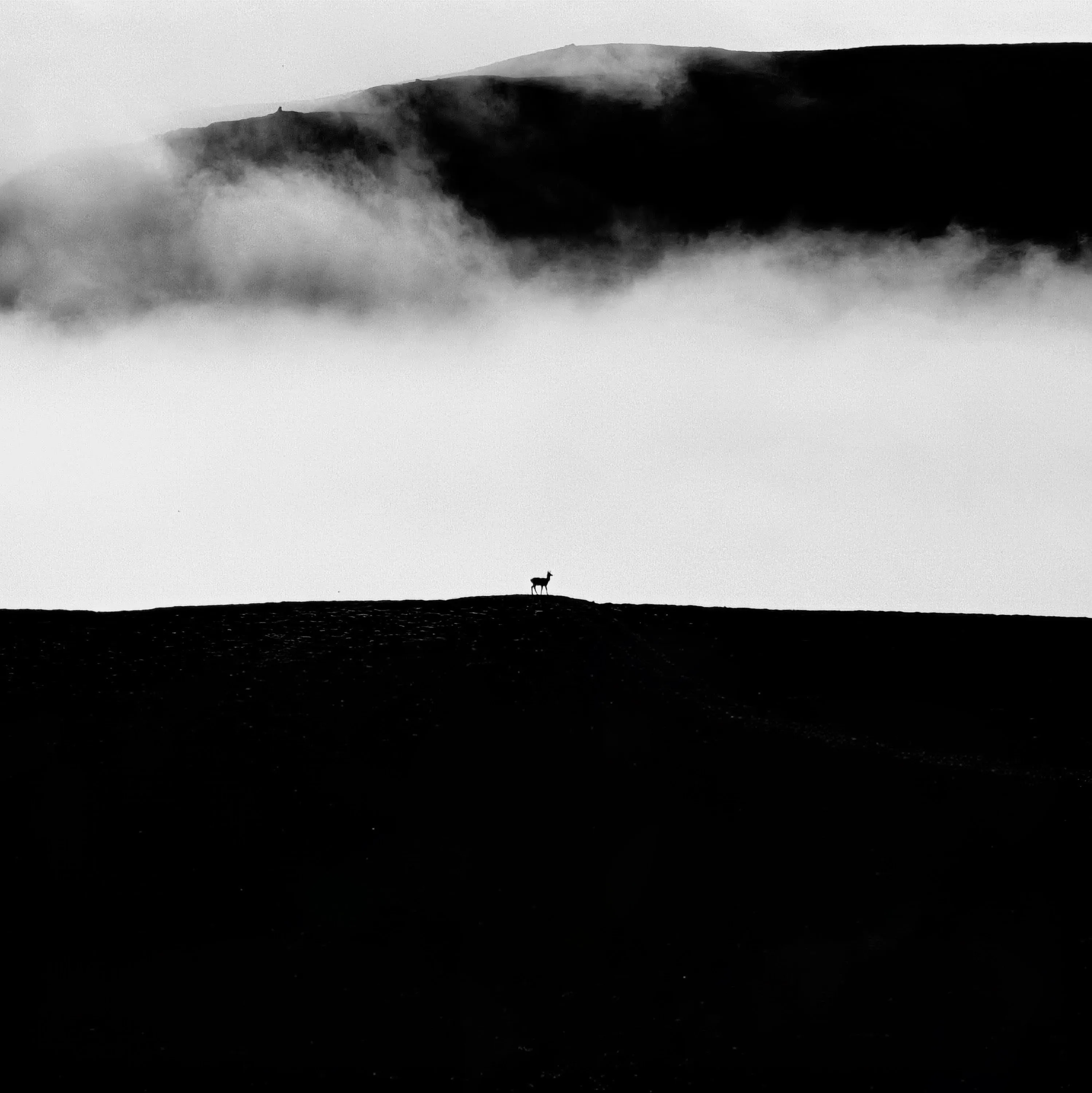 Where the mountains whisper and the mist keeps its secrets