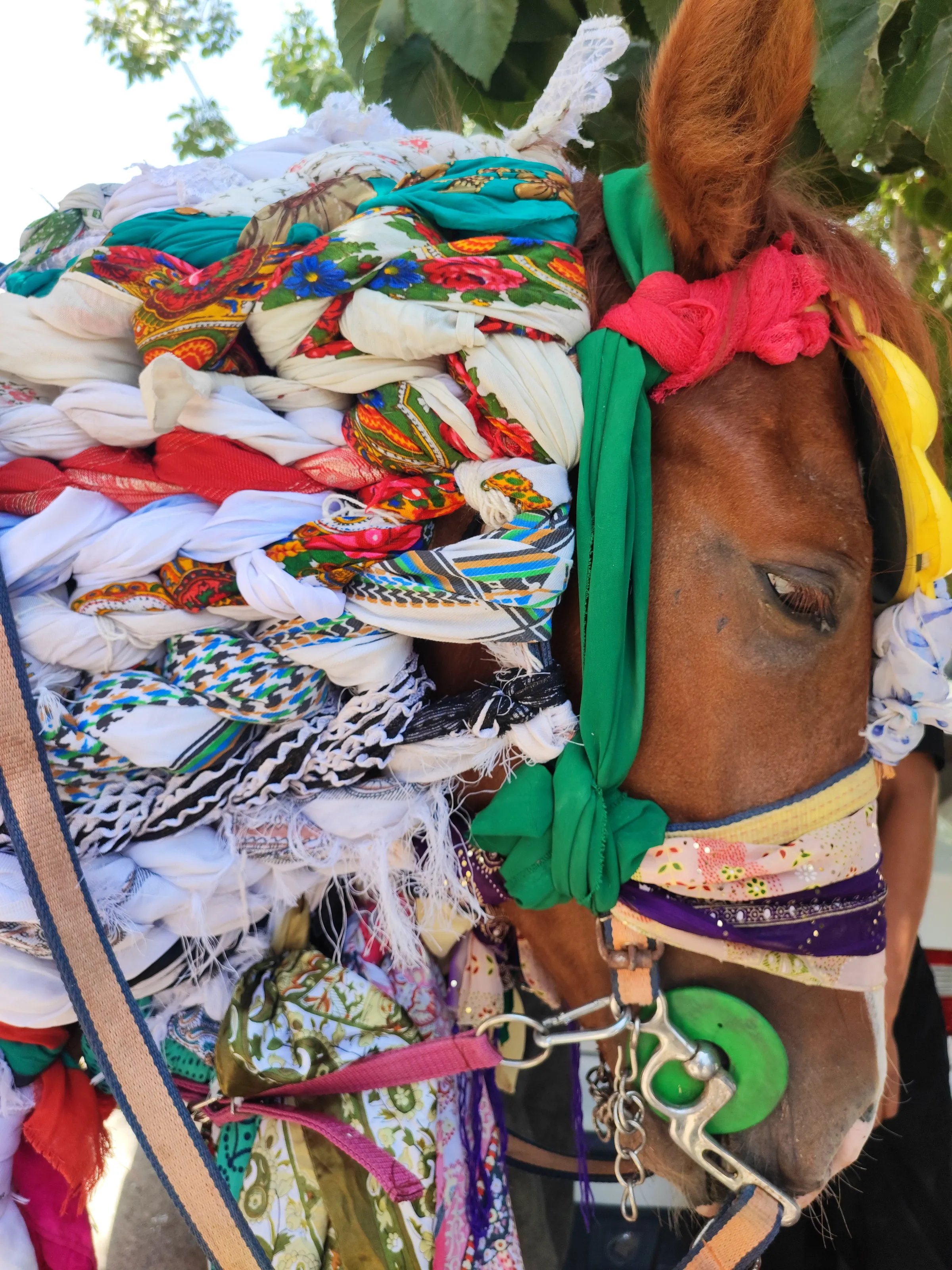 Horses in Islamic religious ceremonies