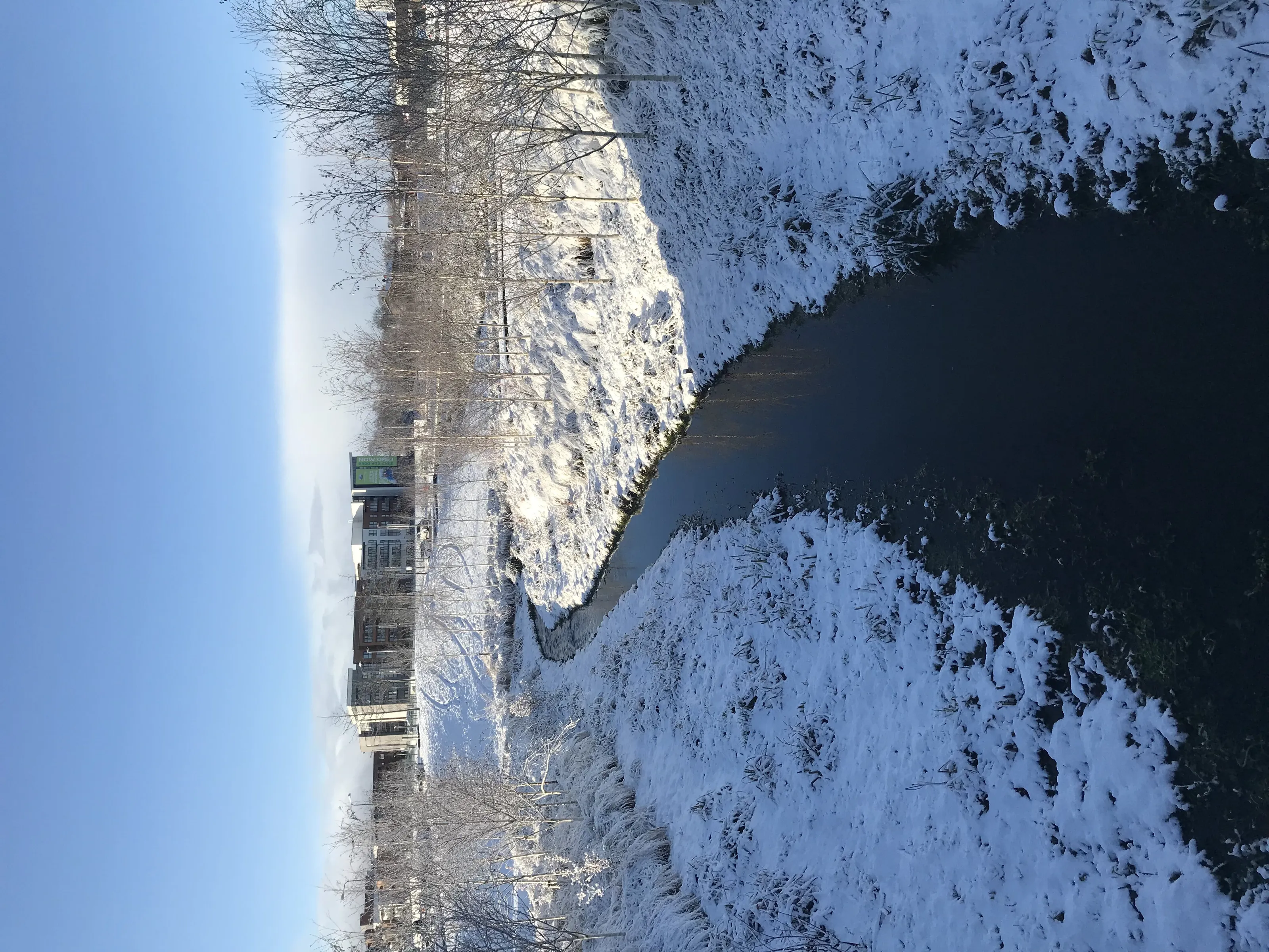 Snowy Stream