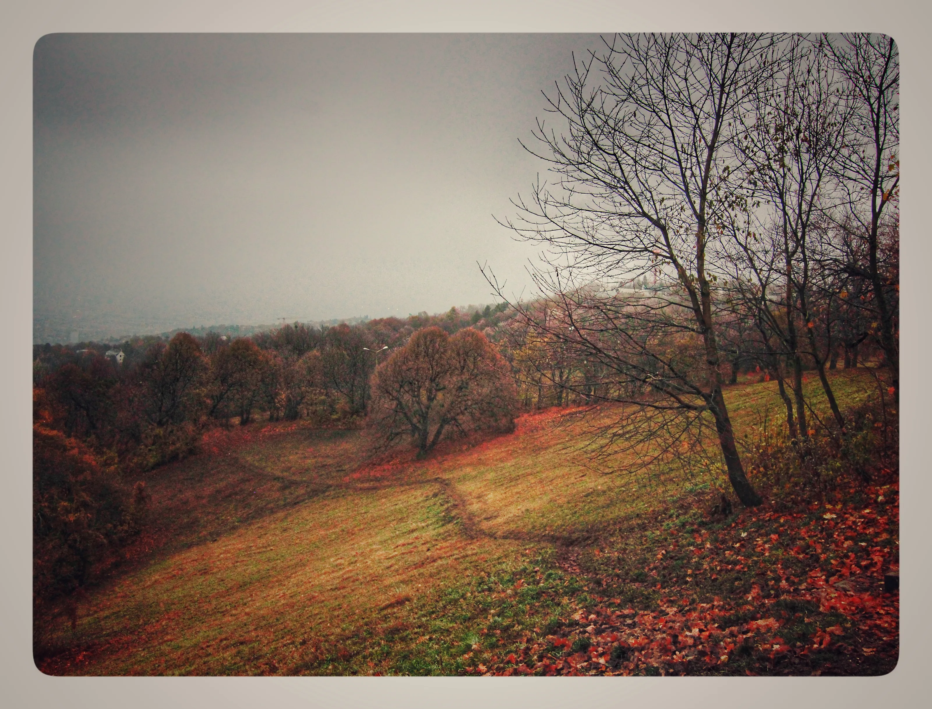 Autumn Landscapes (in colour)