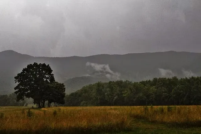 Rain in the Cove