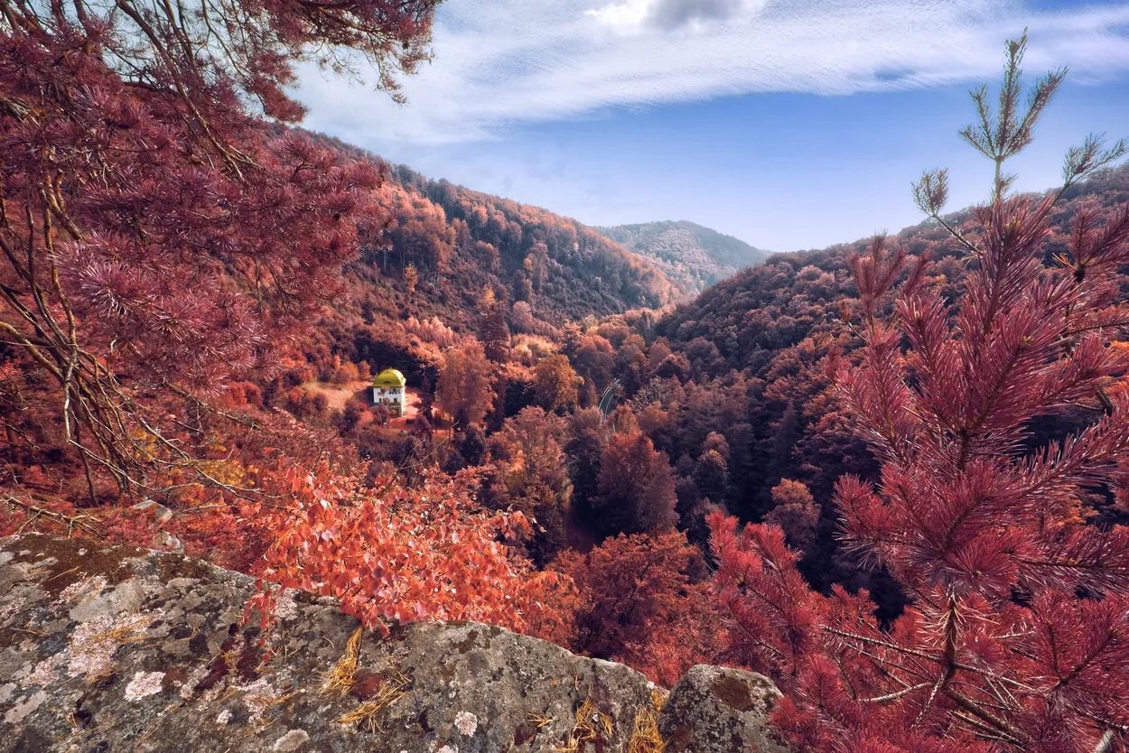 Entry 25945135