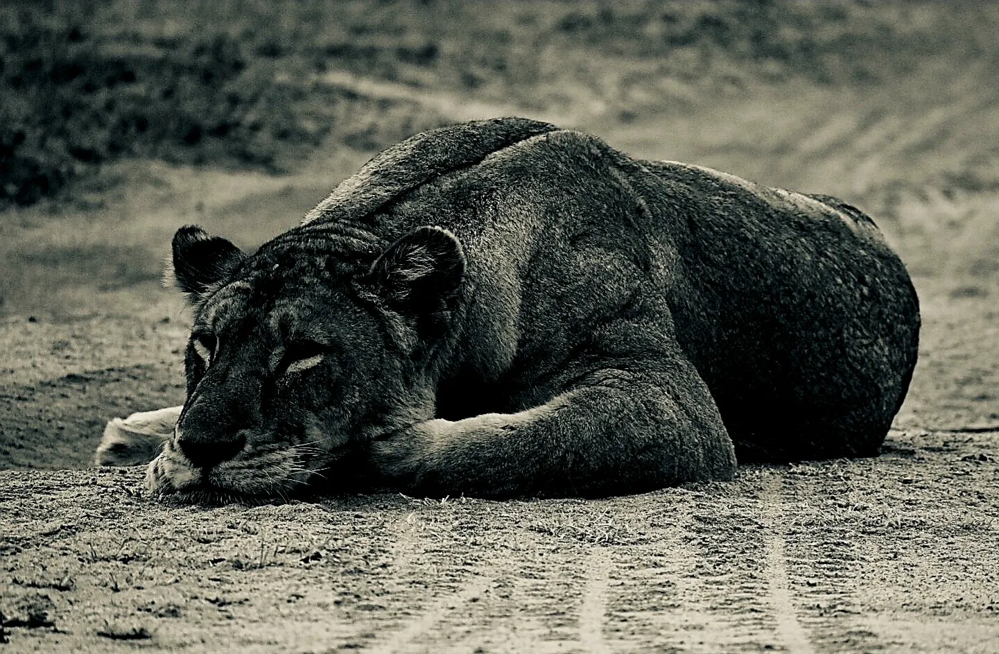 Resting