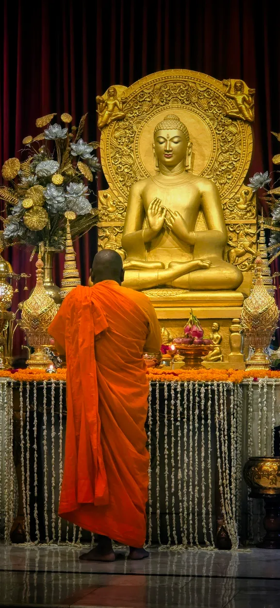 Entry 25953767