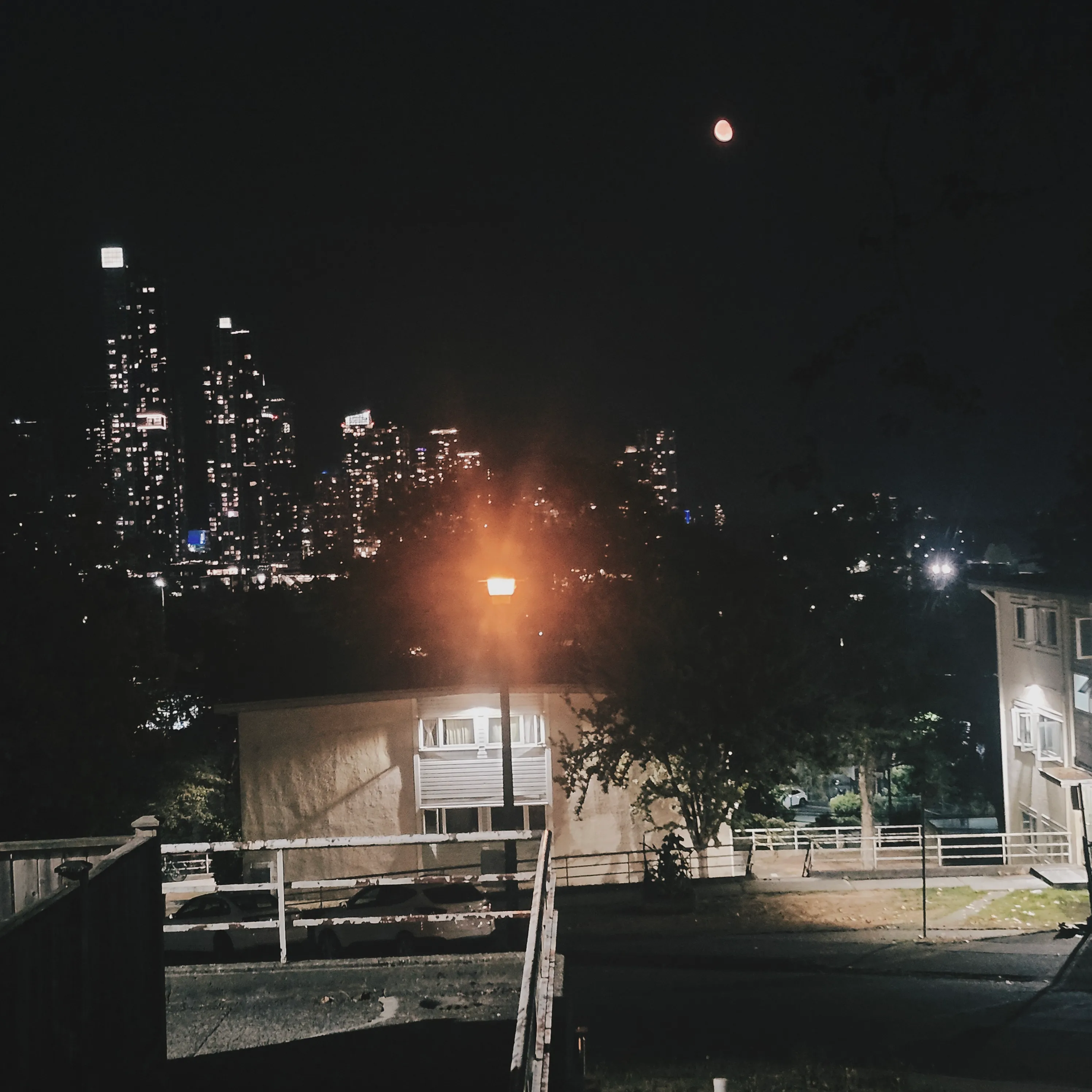 Still of the night
