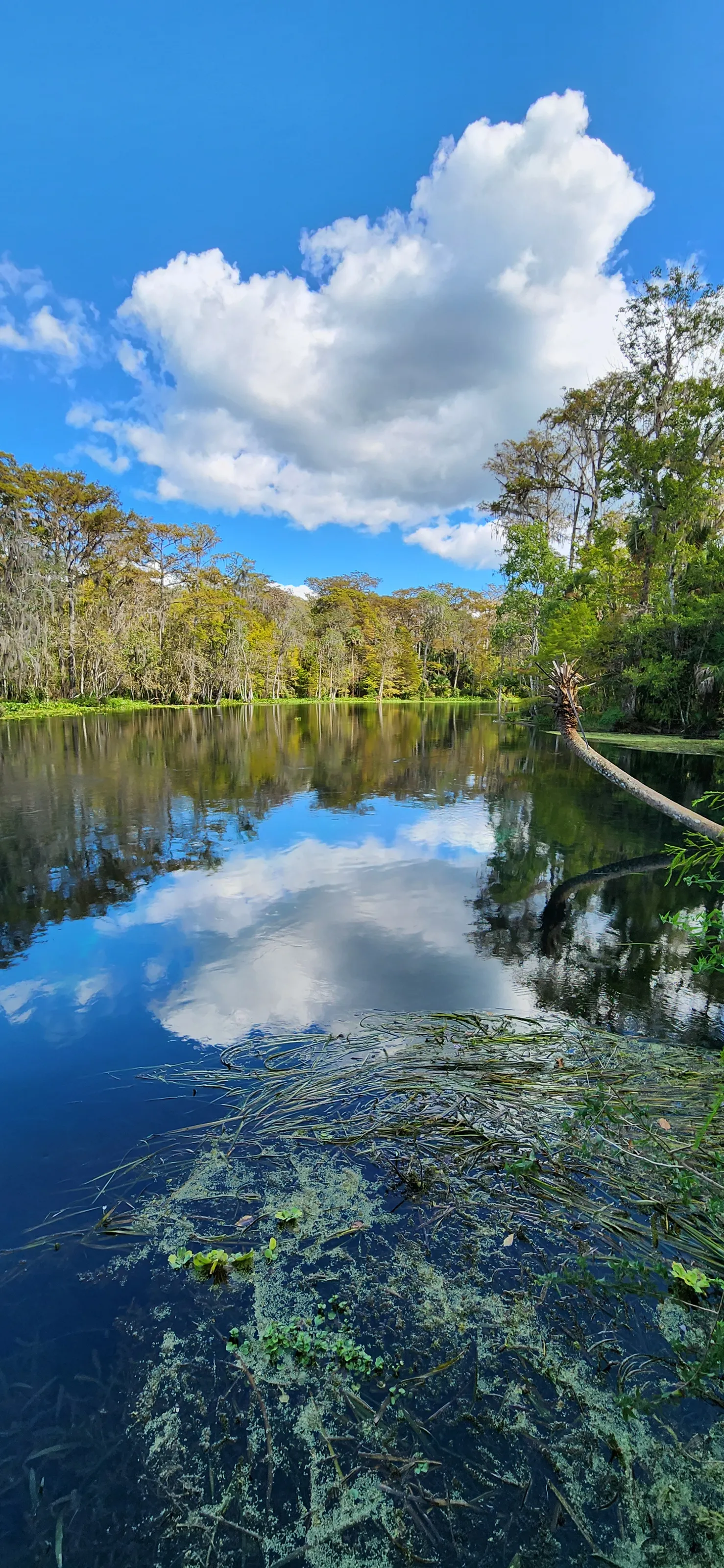 Silver River