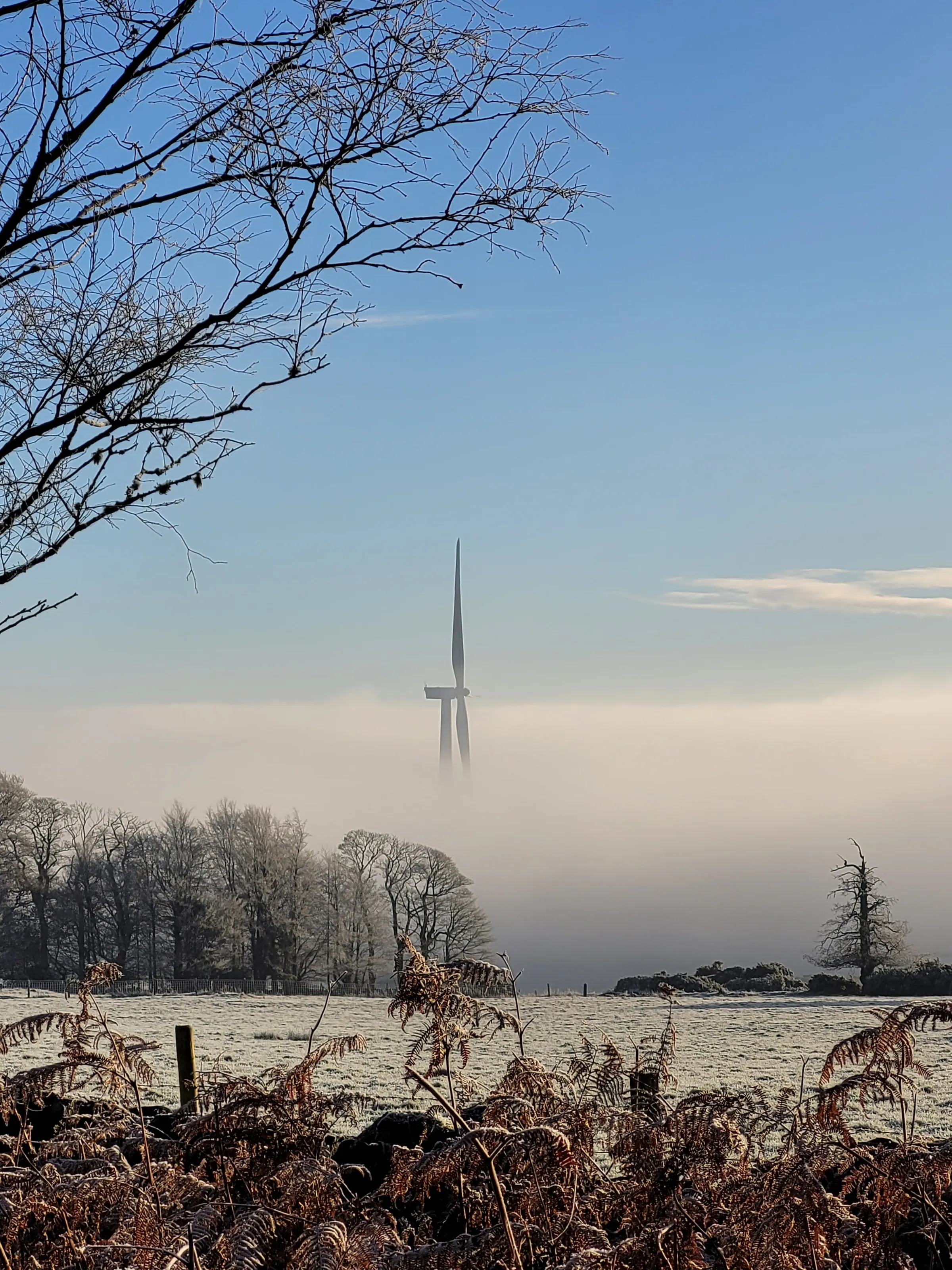 Misty Morning