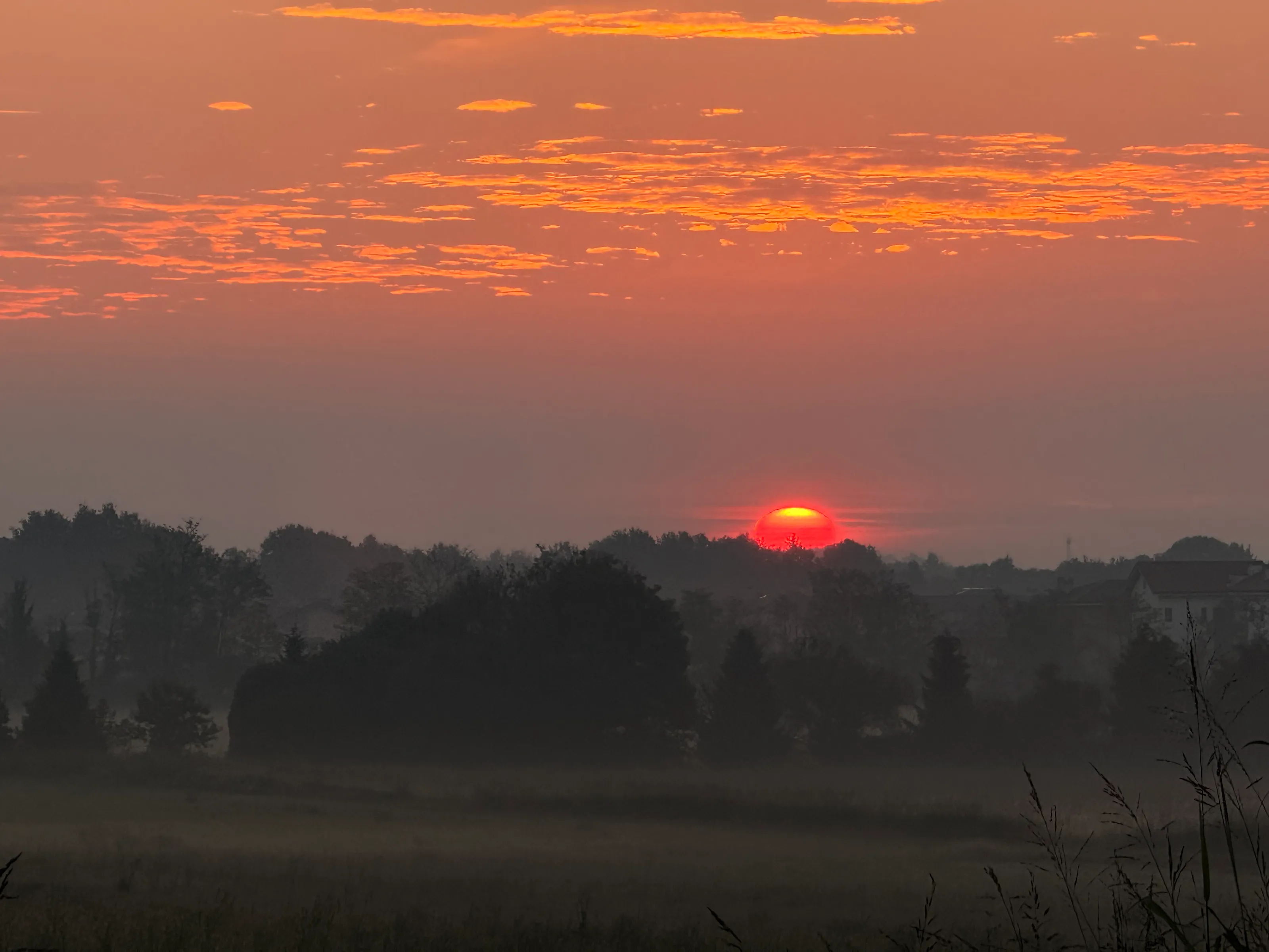 “Wonderful sunrise in red sun”