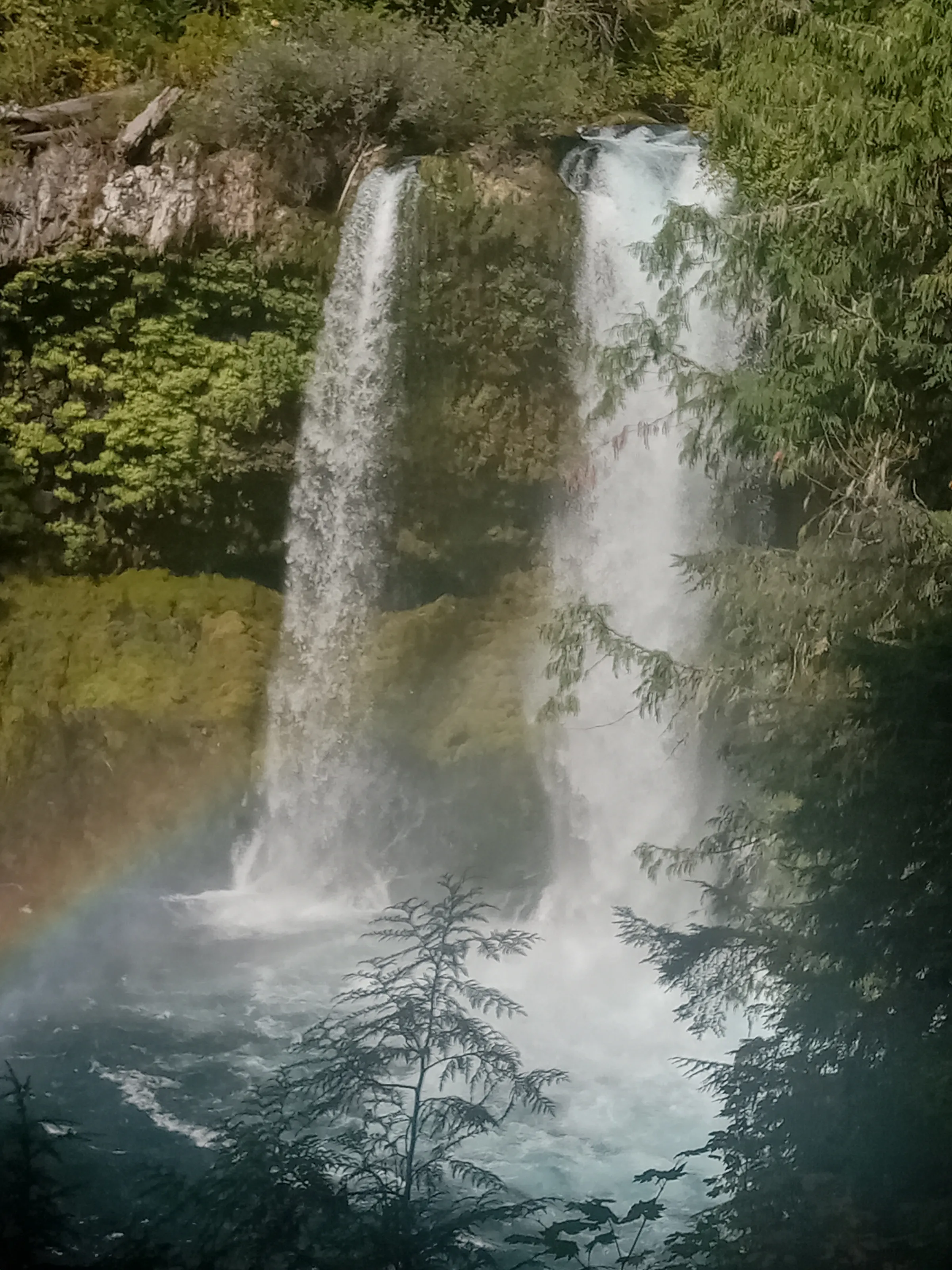 Koosah Falls Oregon