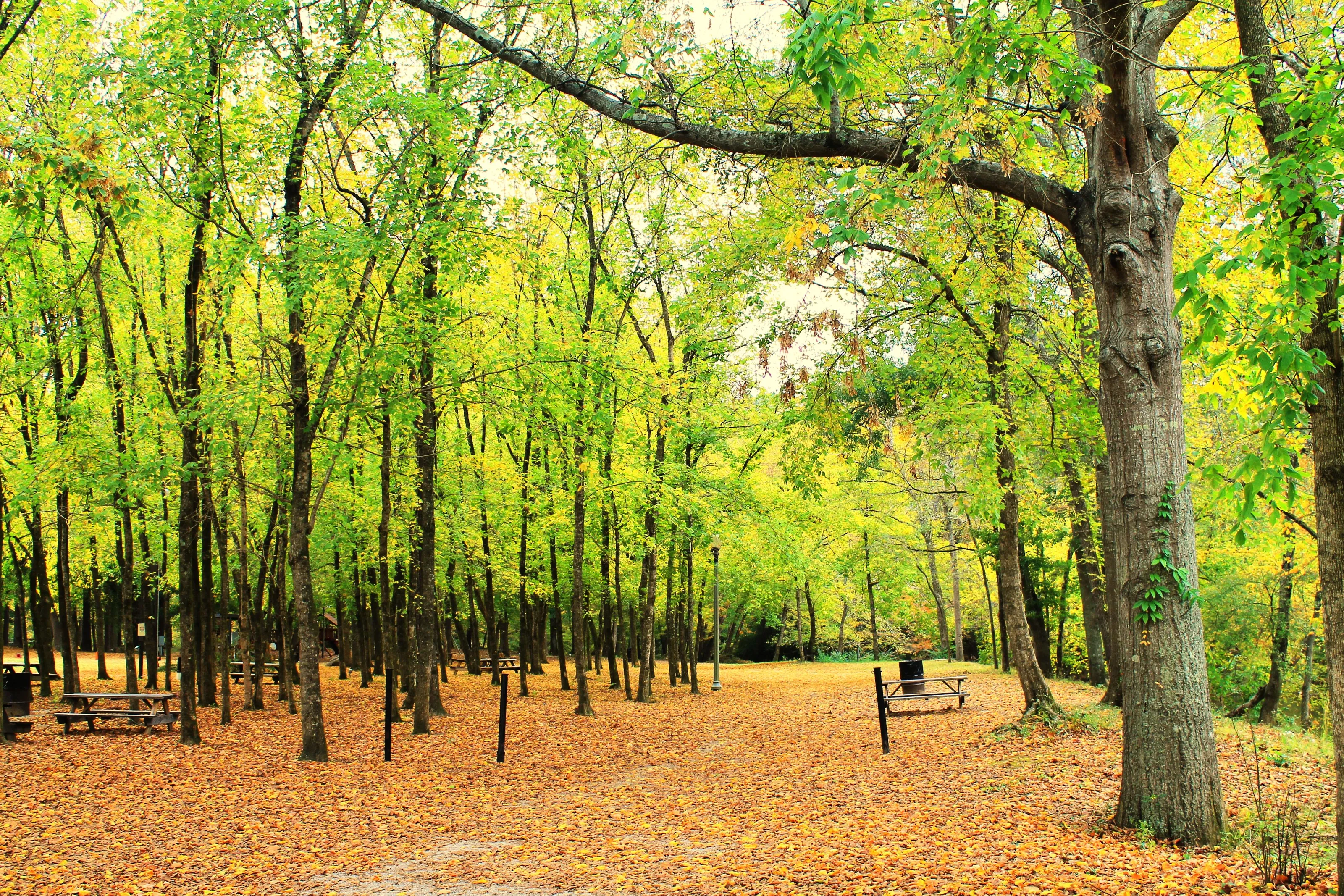 Helena City Park