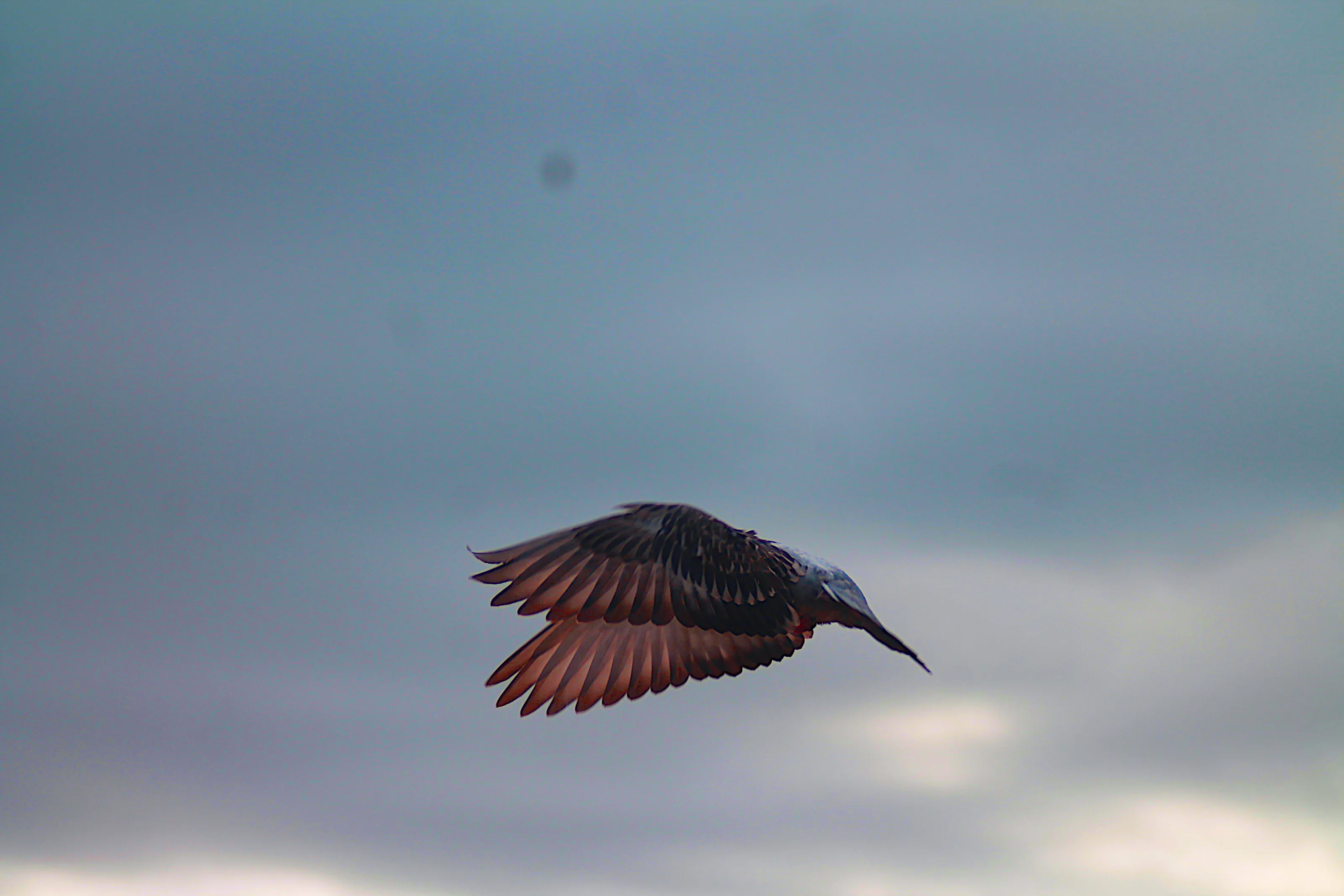 The Art of Letting Go