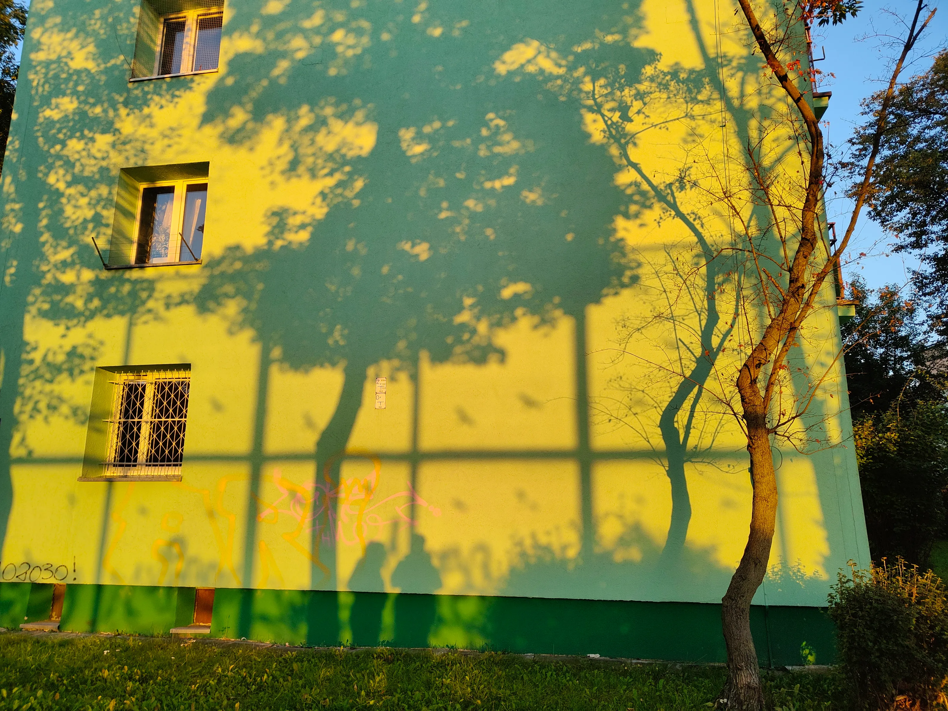 colored shadow