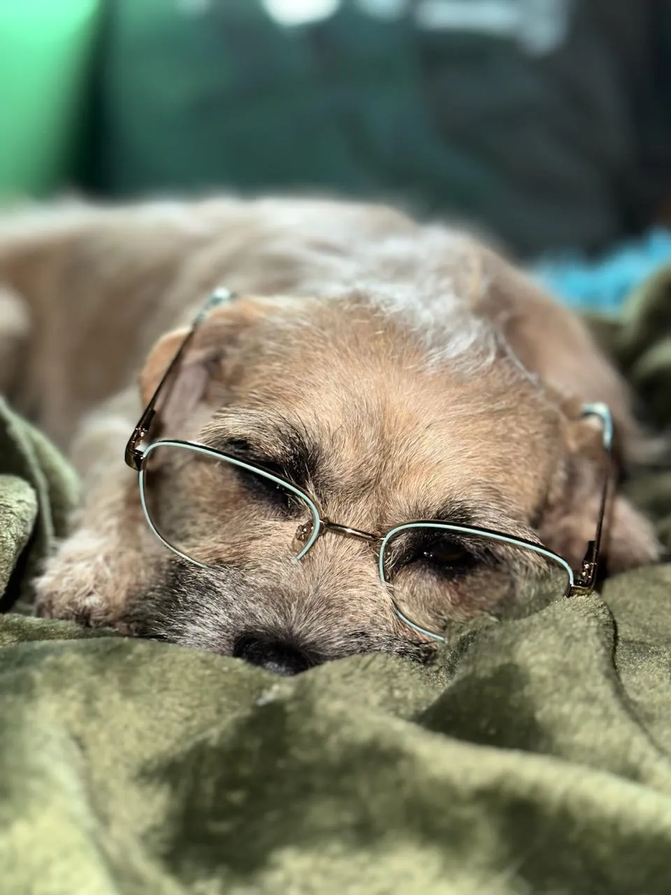 Book worm
