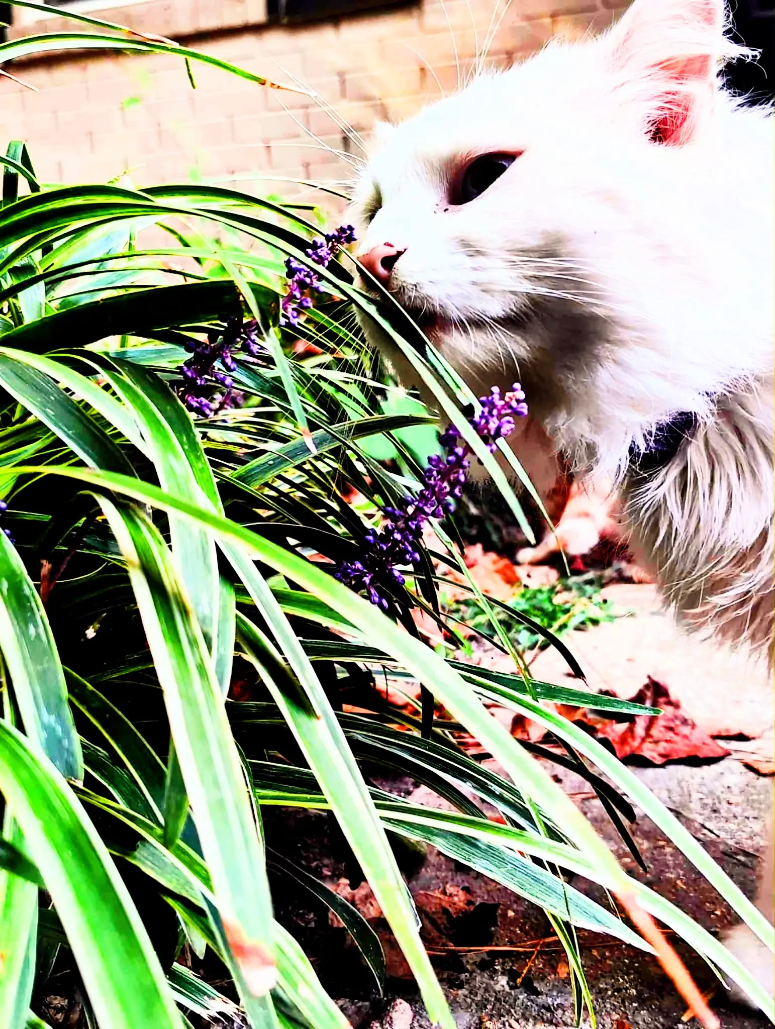 Stop and Smell the Flowers