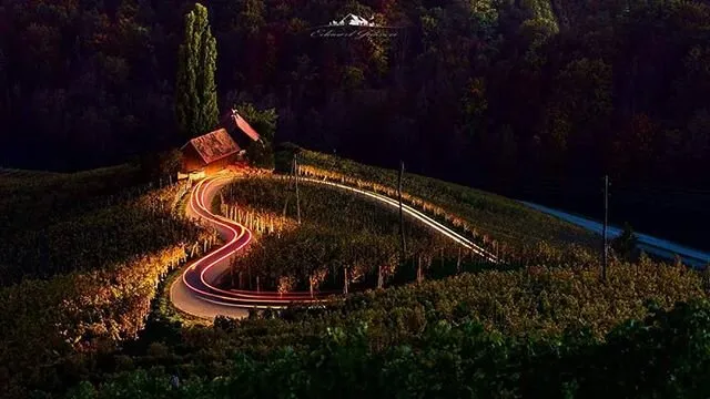Entry 1408558