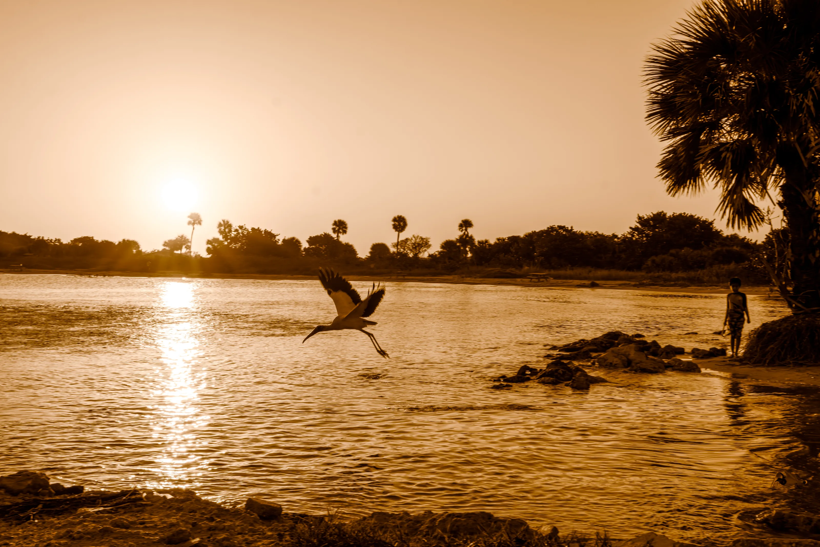 Sepia-Toned