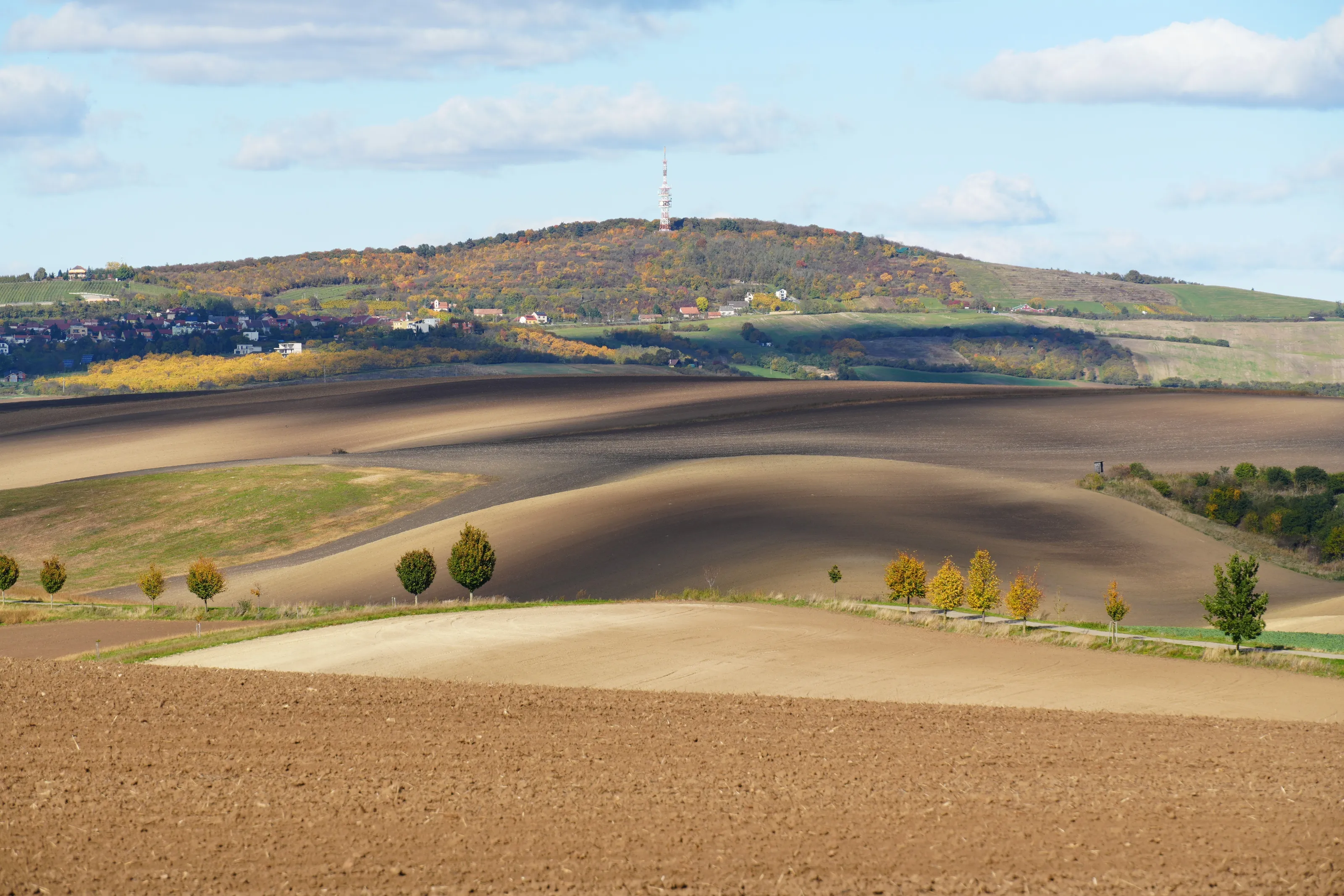 Autumn fields, south Moravia