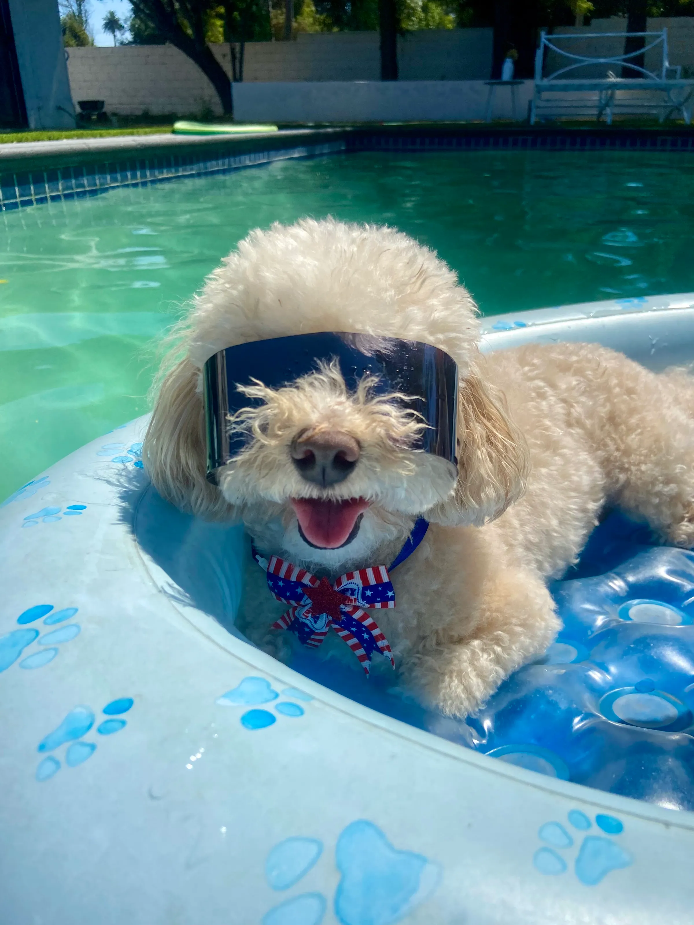 Floatin’ Fred