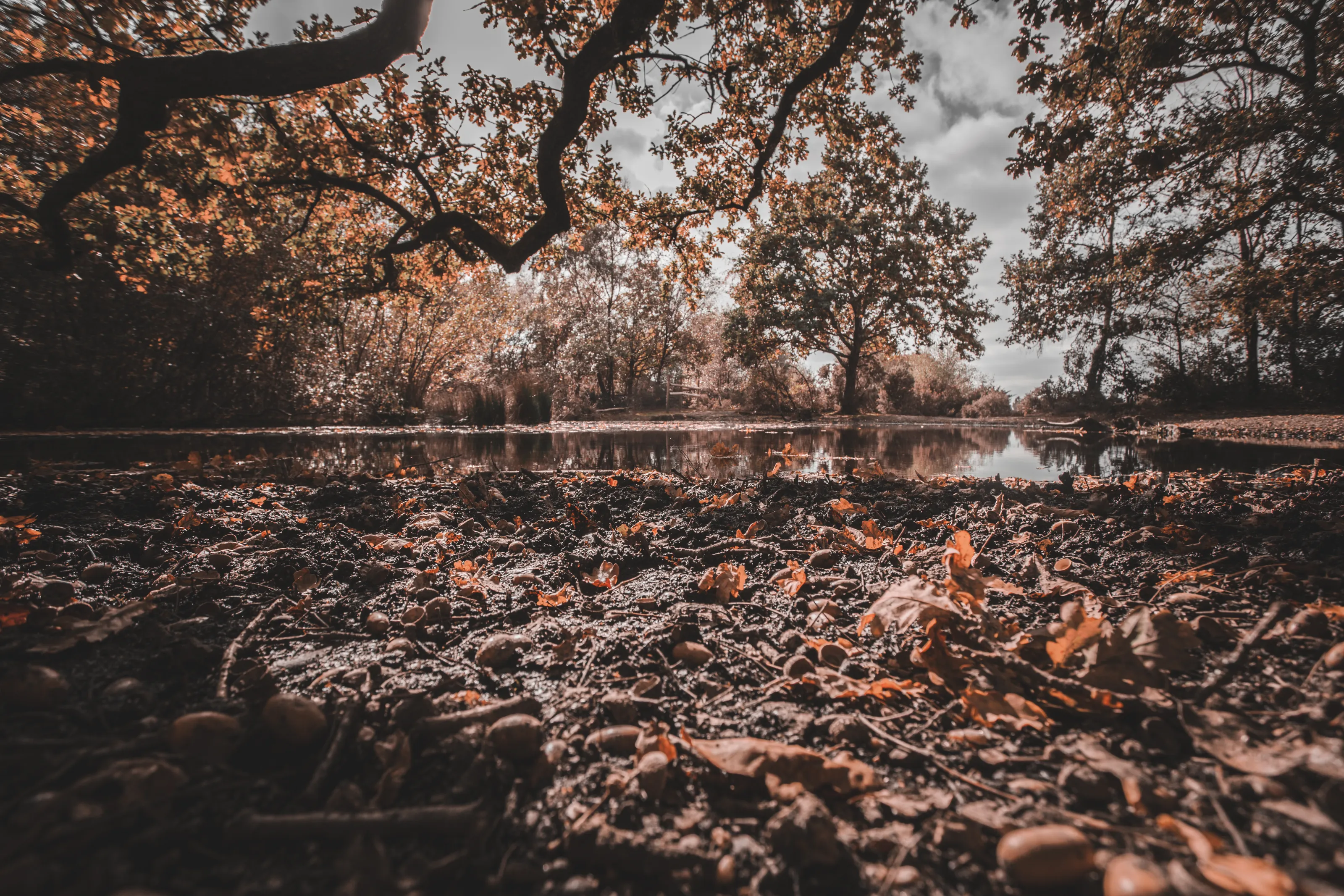 Autumn across the pond