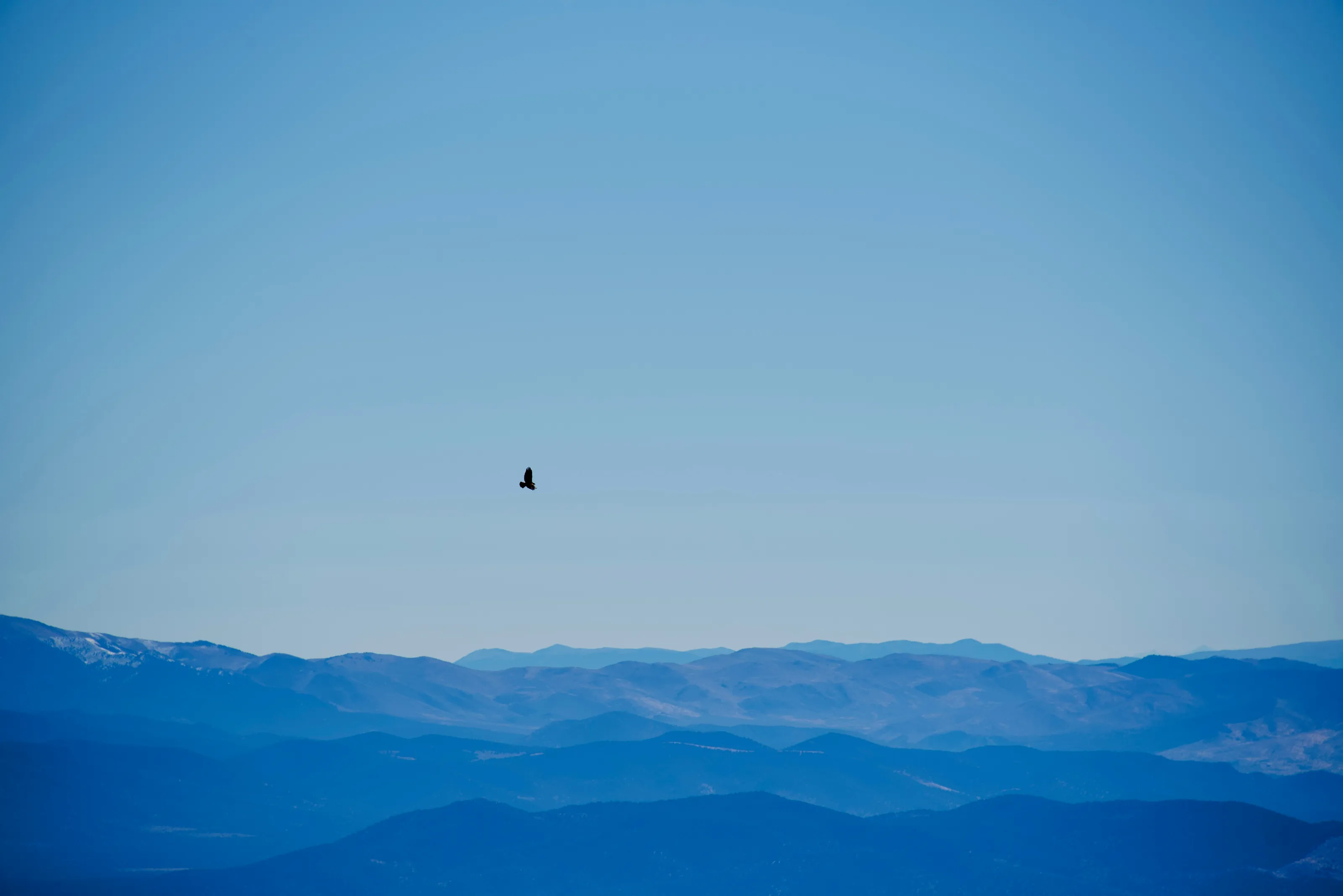 Hawks Eye View
