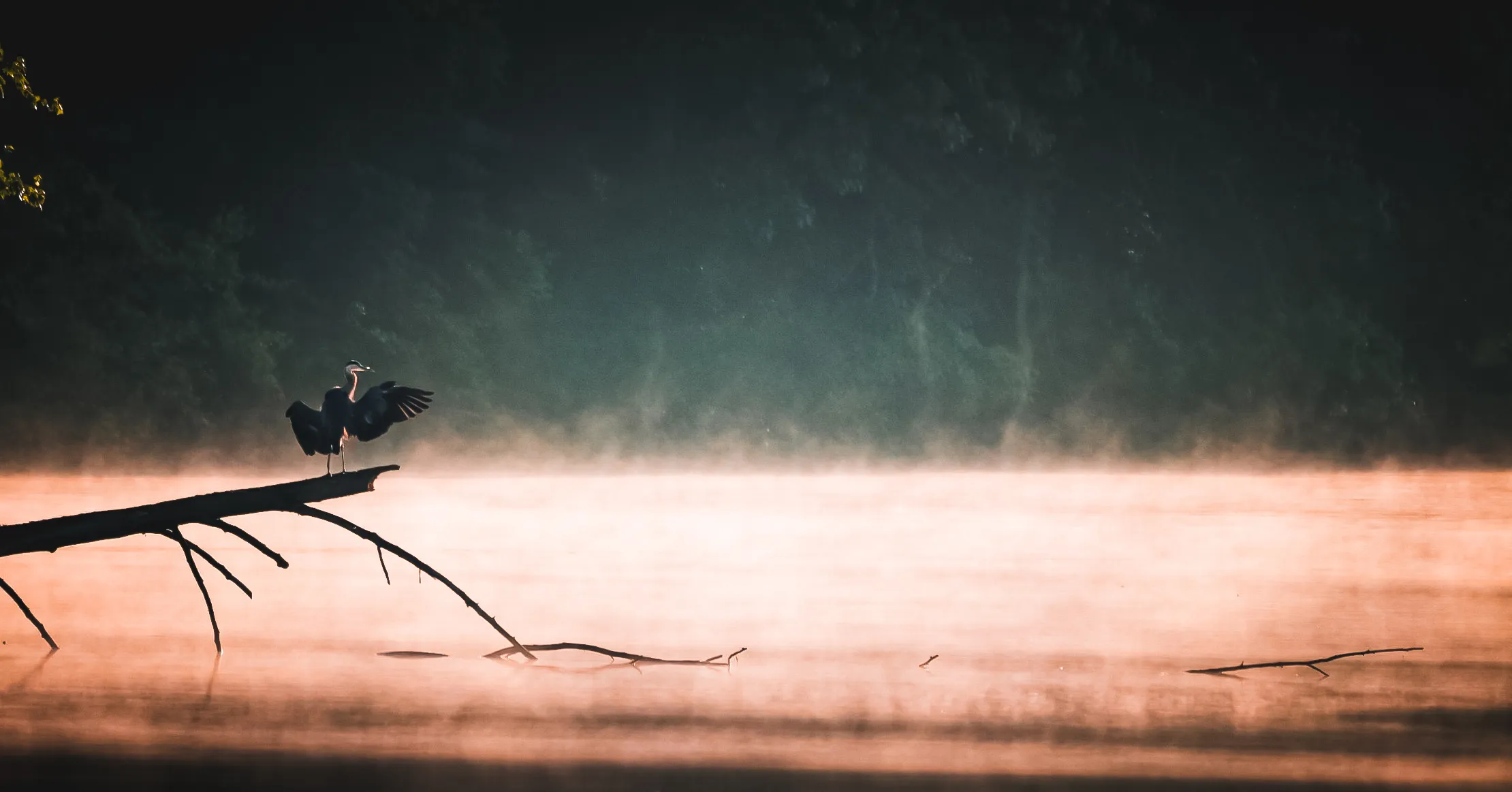 Grace in the Mist