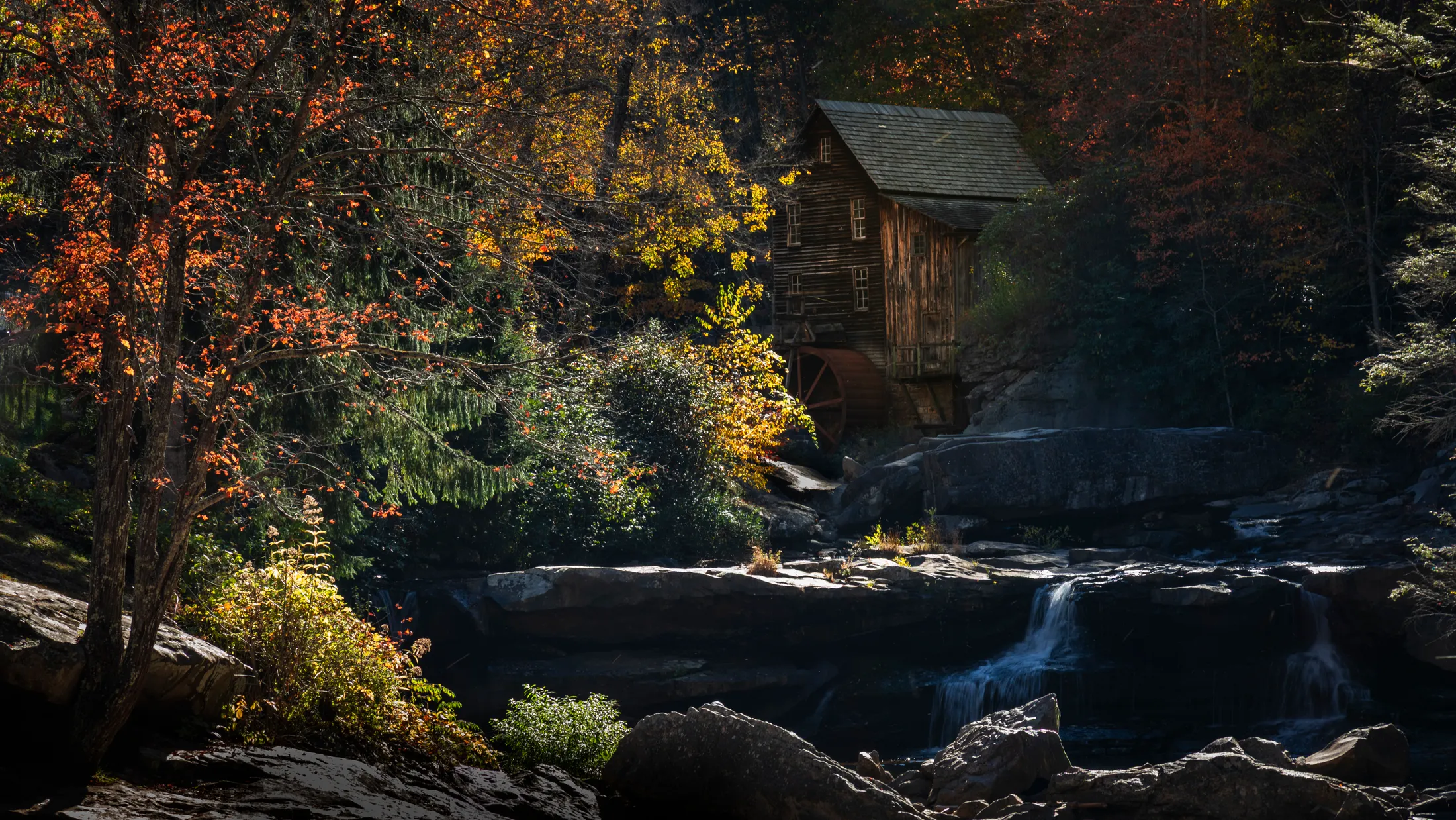 Entry 26028959